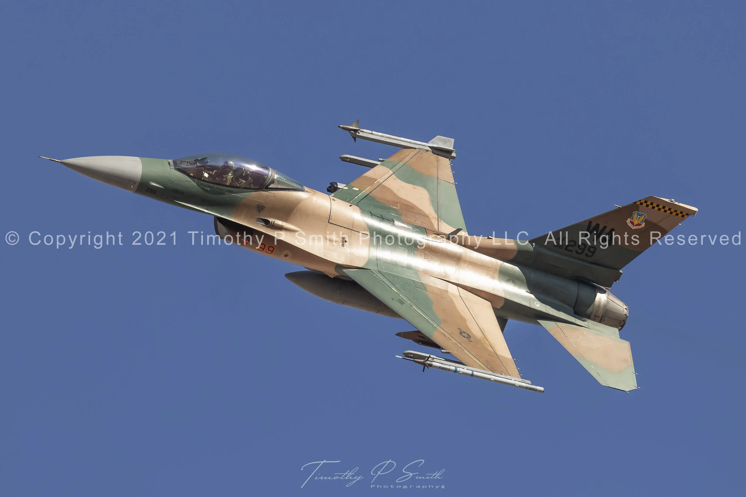 usaf_f16_viper_lizard
