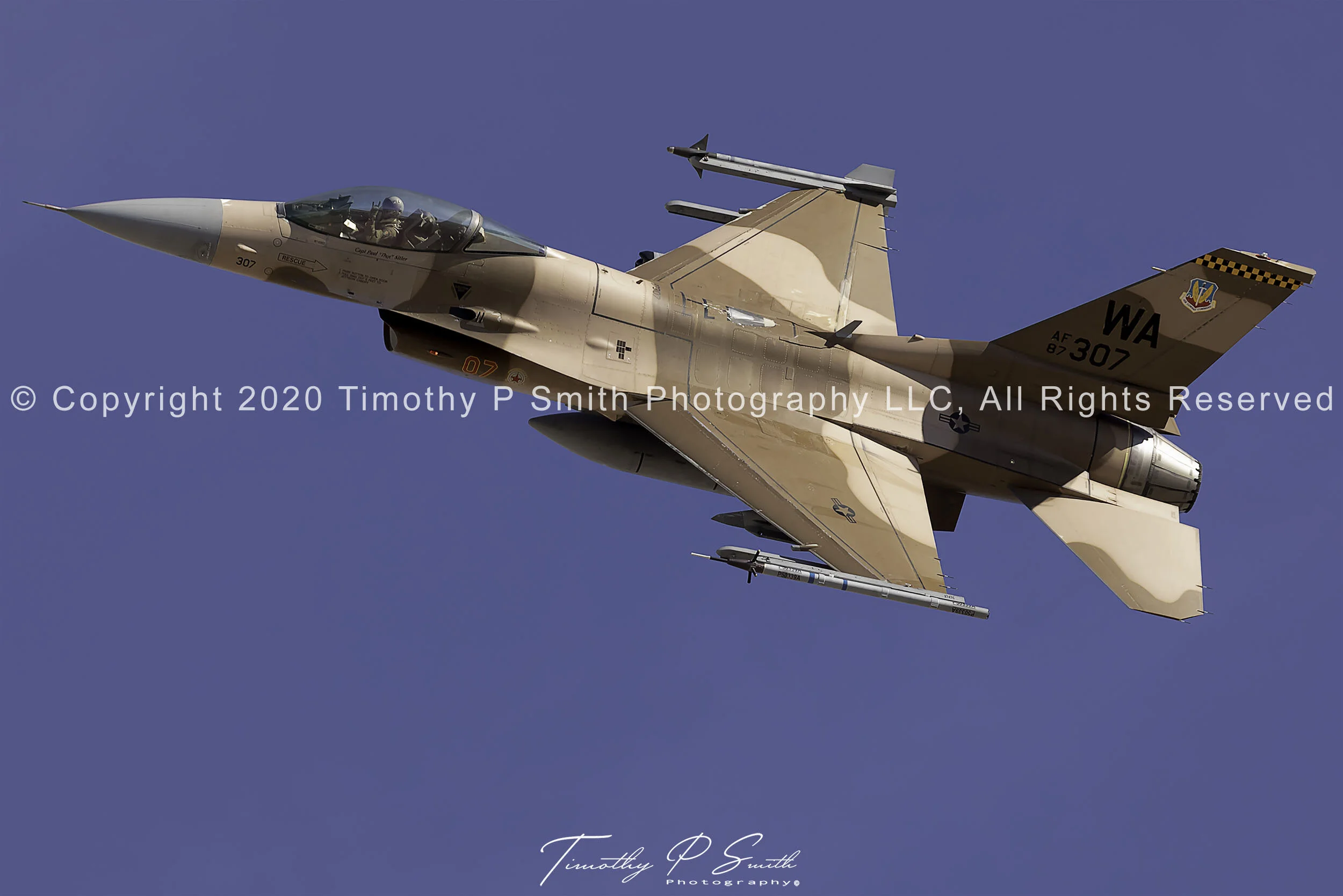 Aviation Print - "Desert" Nellis Viper