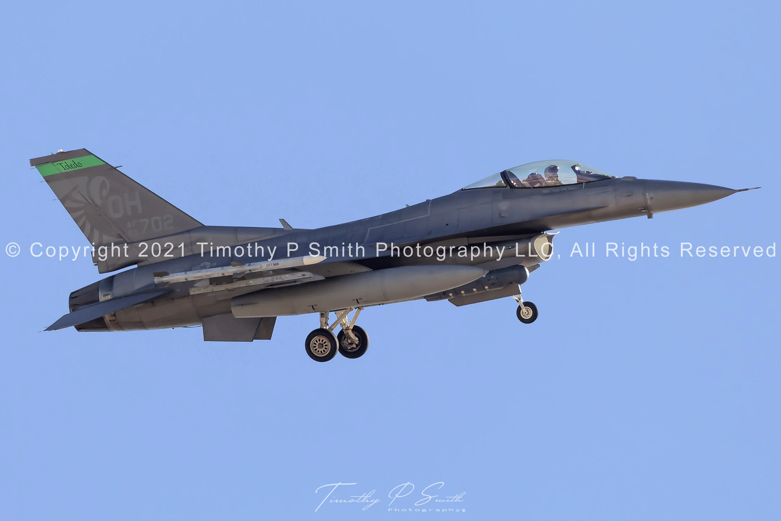 Aviation Print - "Stingers" Viper