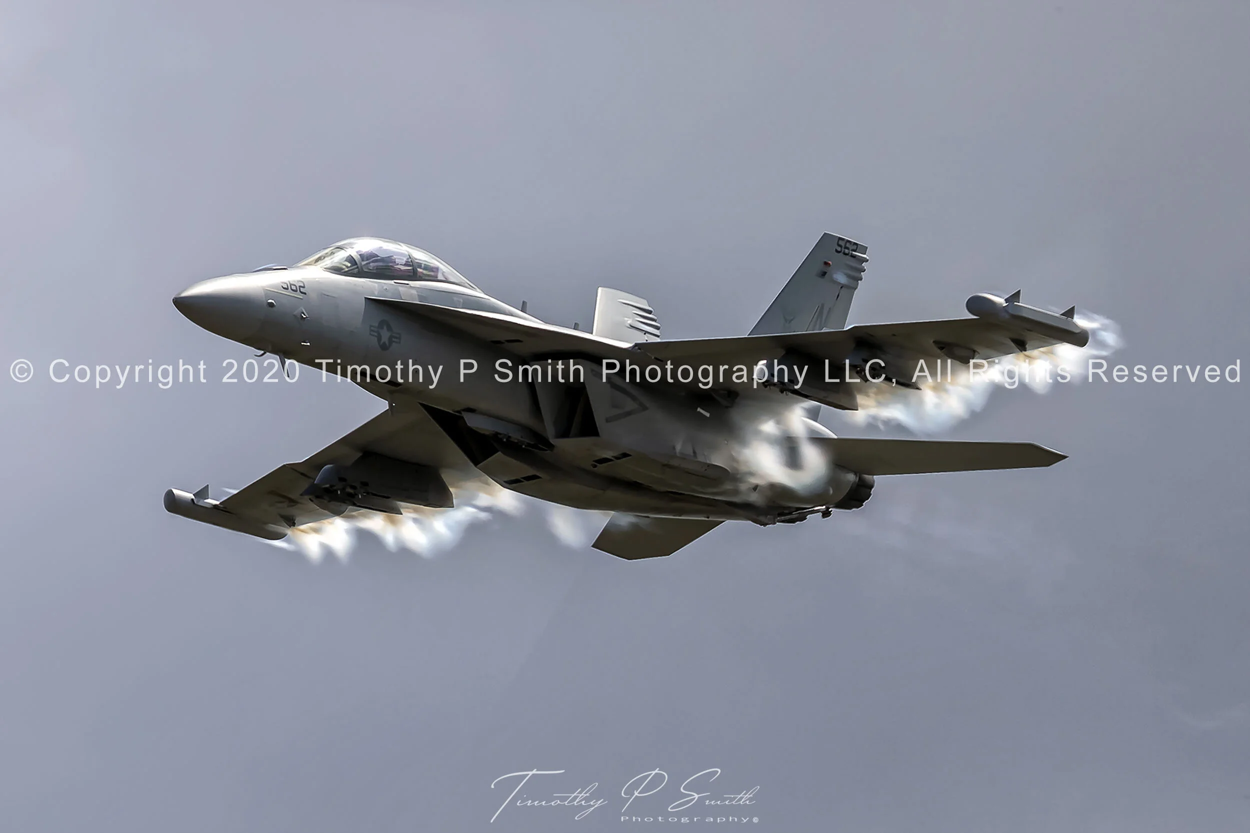 Boeing EA-18G Growler - US Navy VAQ-129 - 2019 Wings Over Houston