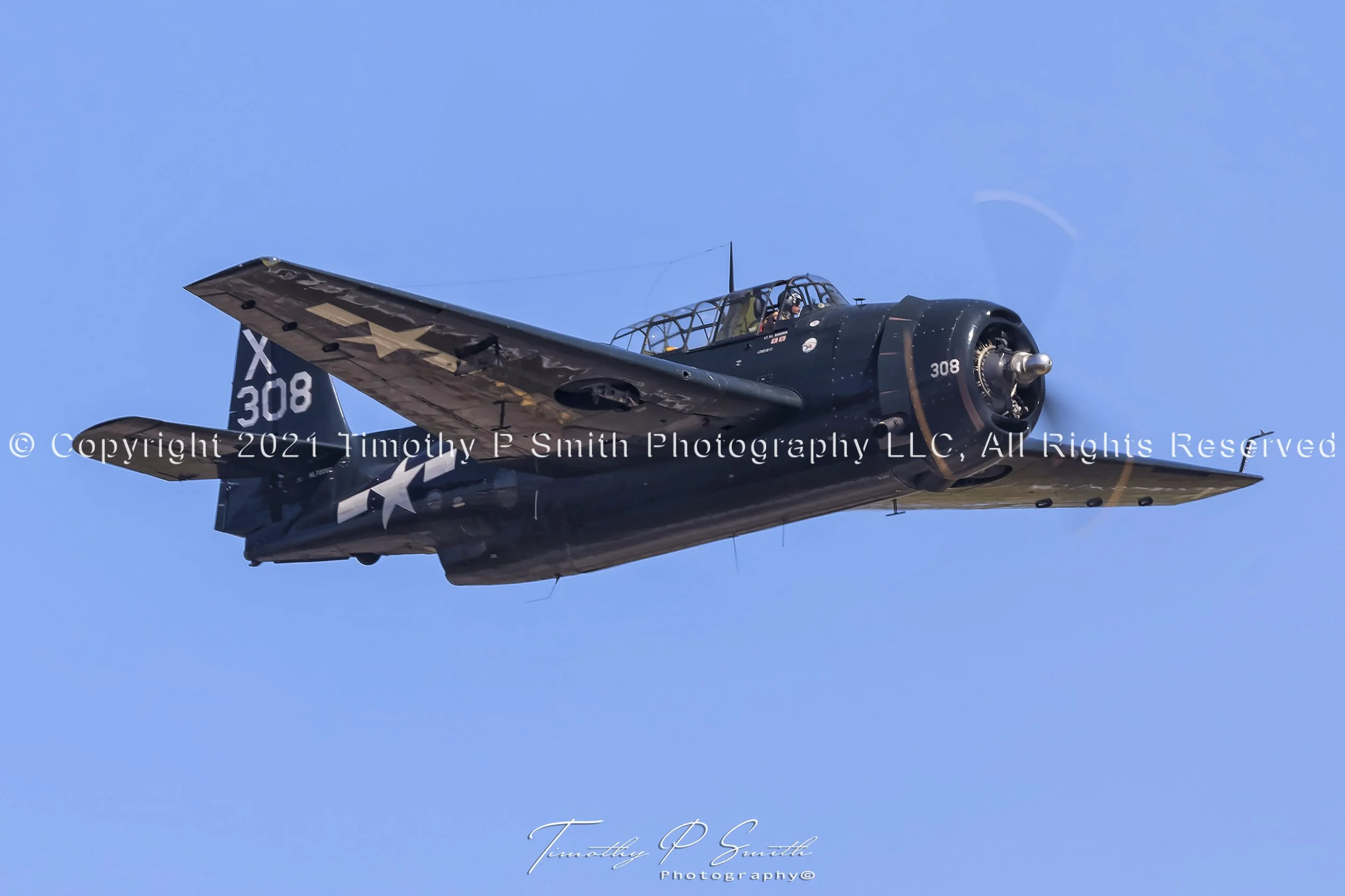 Aviation Print - "Pearl Harbor Avenger"