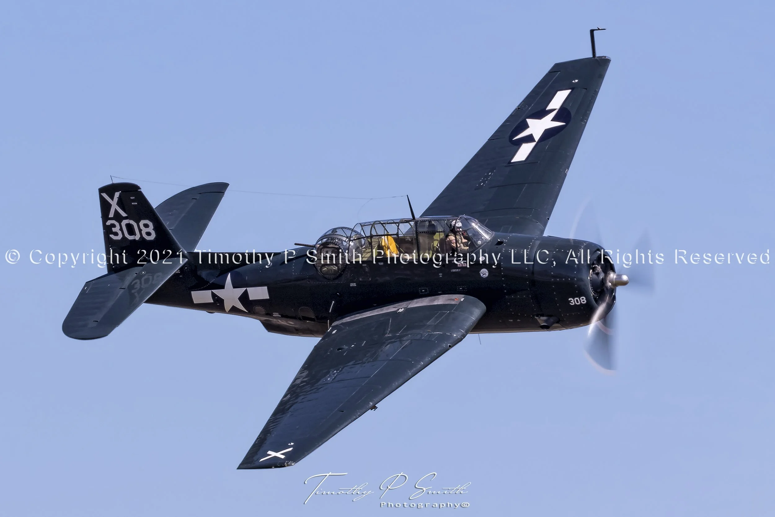 TBM Avenger at Classic Warbird Wings Over Houston 2016 – WWII Navy bomber print by Timothy Paul Smith