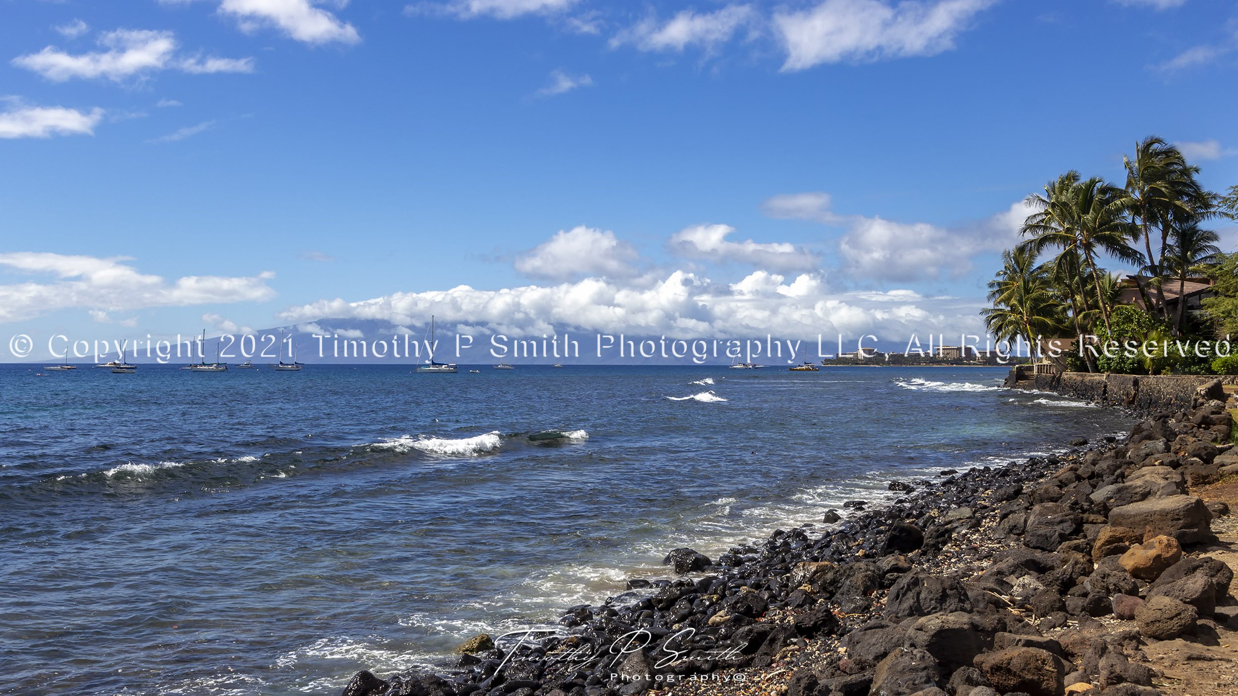 Lahaina Harbor Blue Pacific