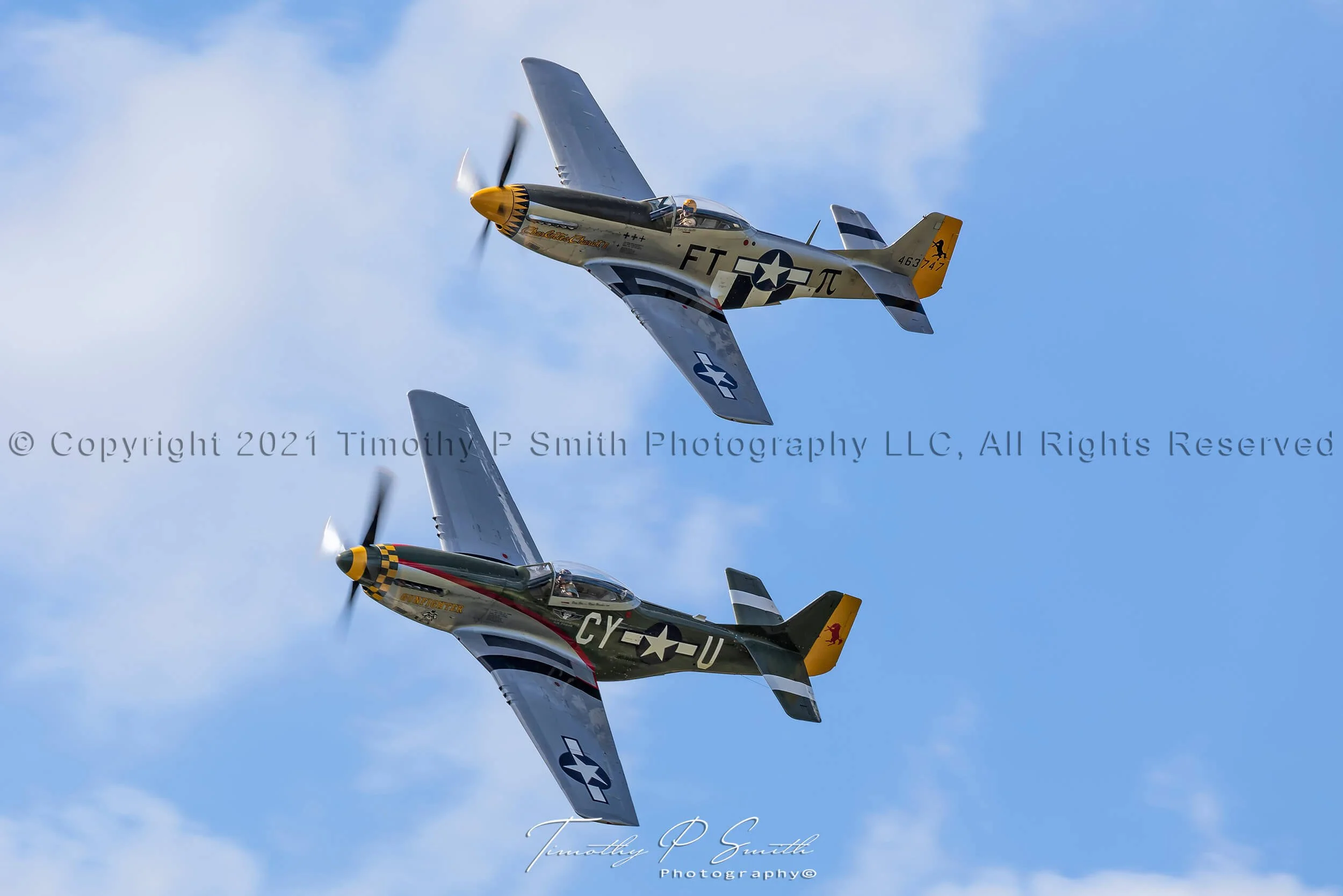 Aviation Print - Mustang Double Trouble