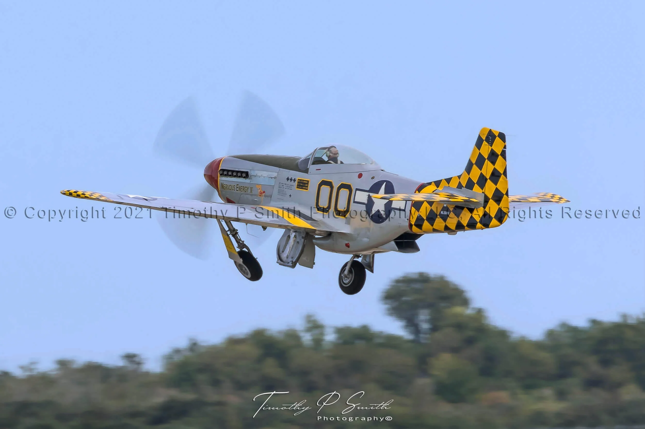Aviation Print - “Nervous Energy V”  Airborne