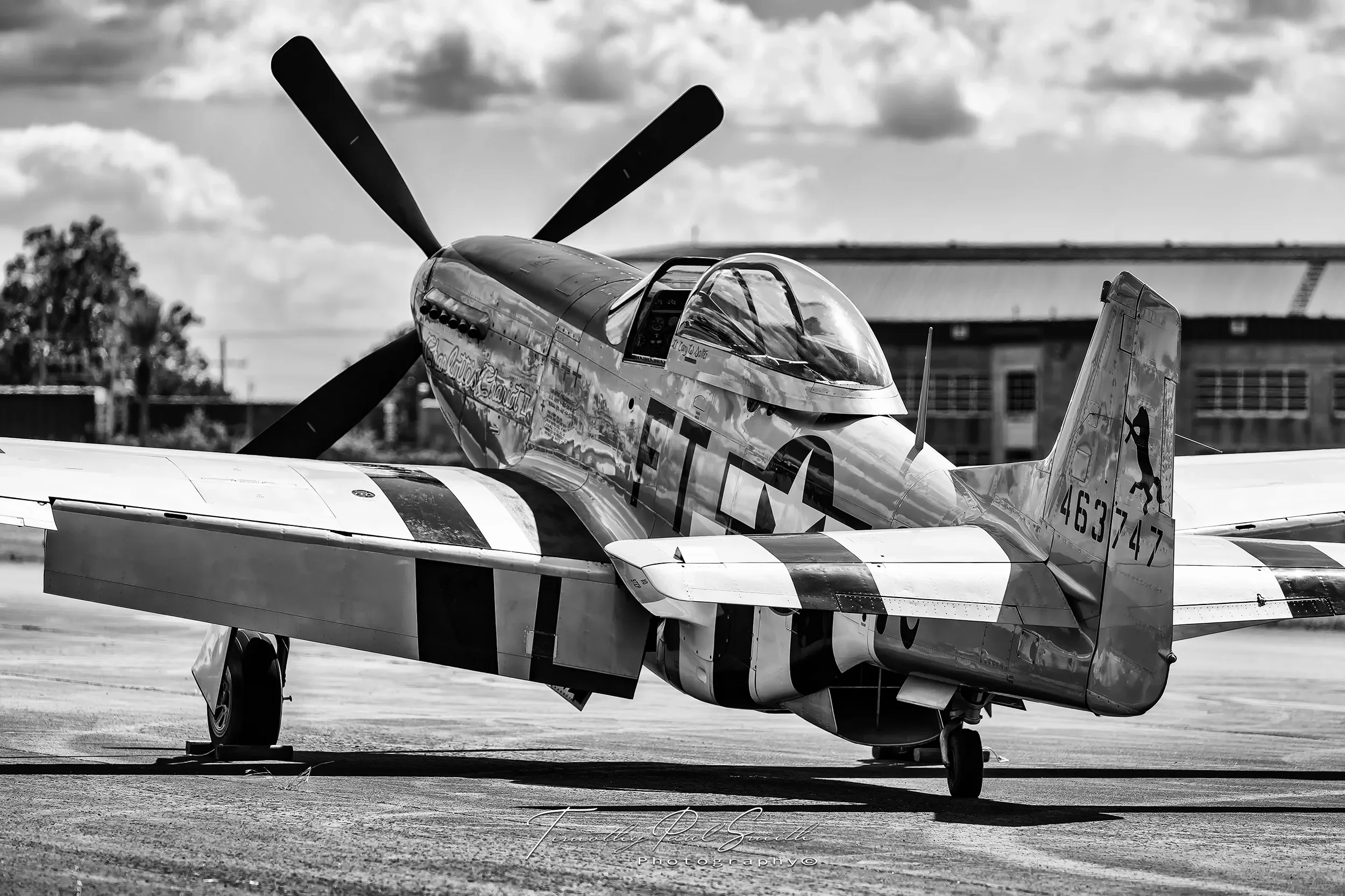 p51d-mustang-charlottes-chariot-ii-new-orleans.webp