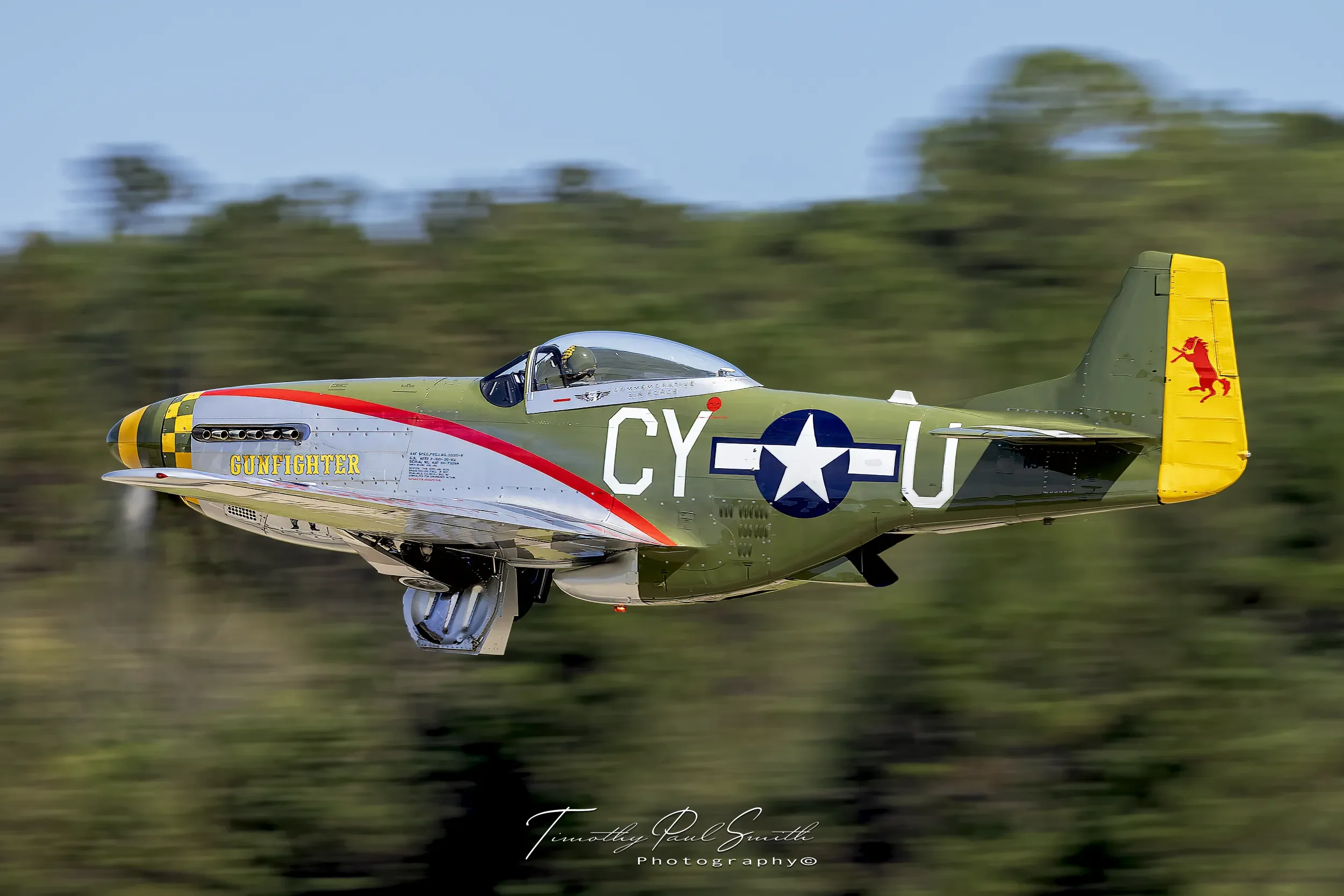 north_american_P-51D-mustang.webp