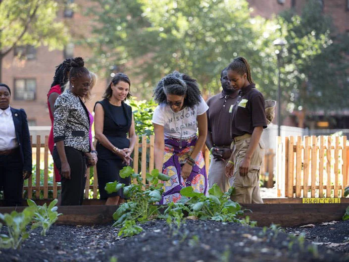 Photo: Building Healthy Communities farms at NYC public housing: partners Unilever, Green City Force. Photographer/Mayoral Photography Office.