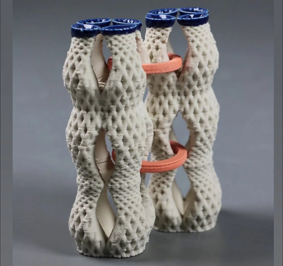 Perceived Structure—Julianna Dougherty &amp; Rebecca Fox