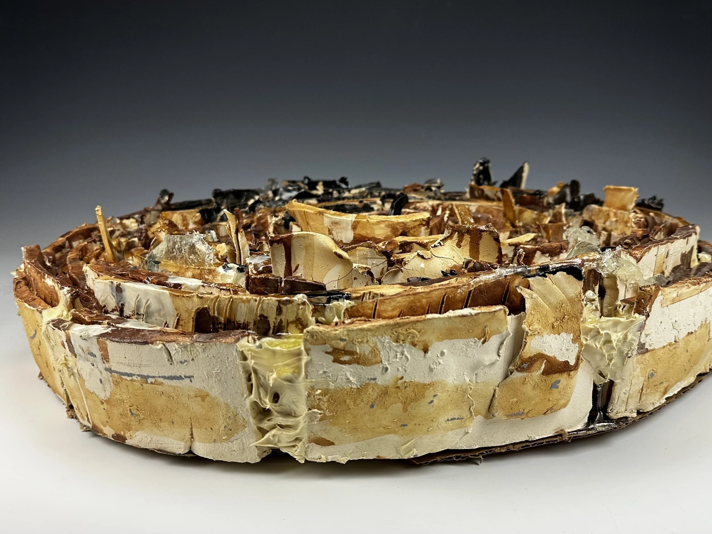 Brian Katz1 Cross Section LCx.jpeg