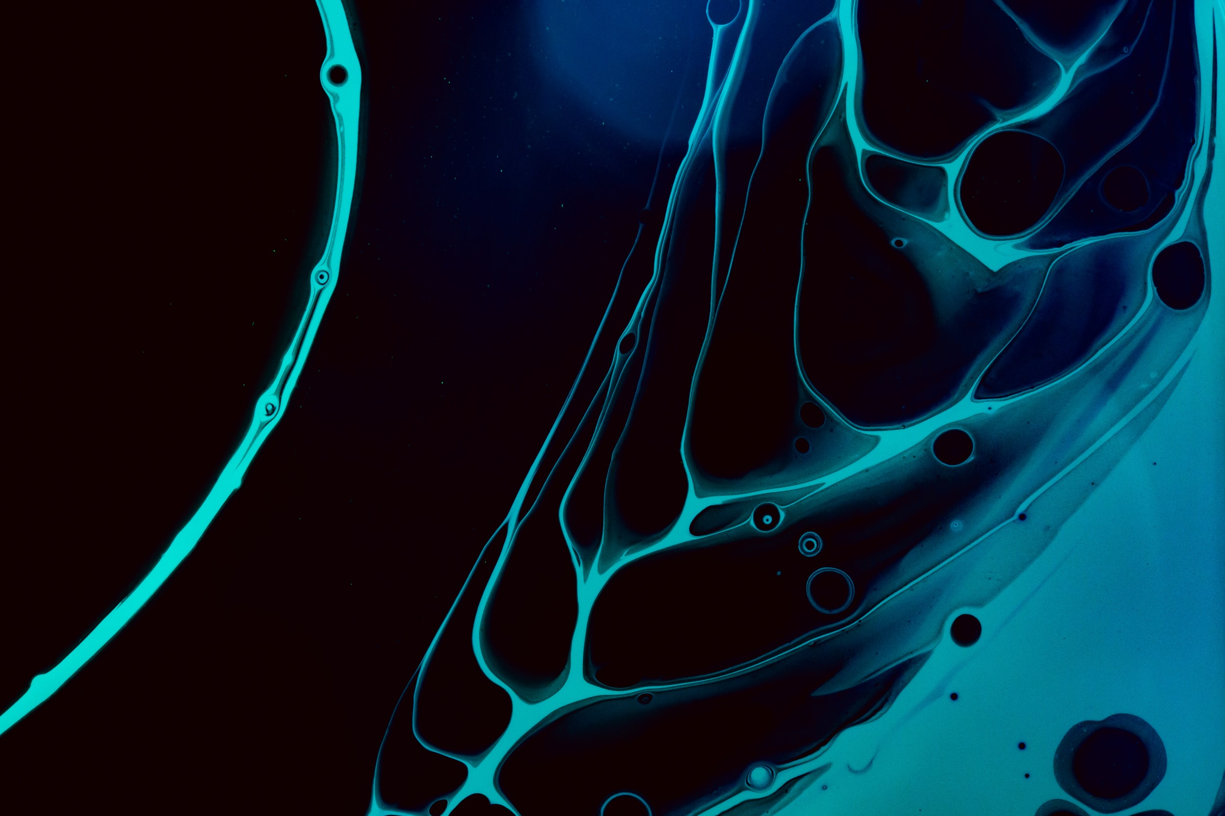 What to Expect from the New Narrative Collaborative: Meeting 2