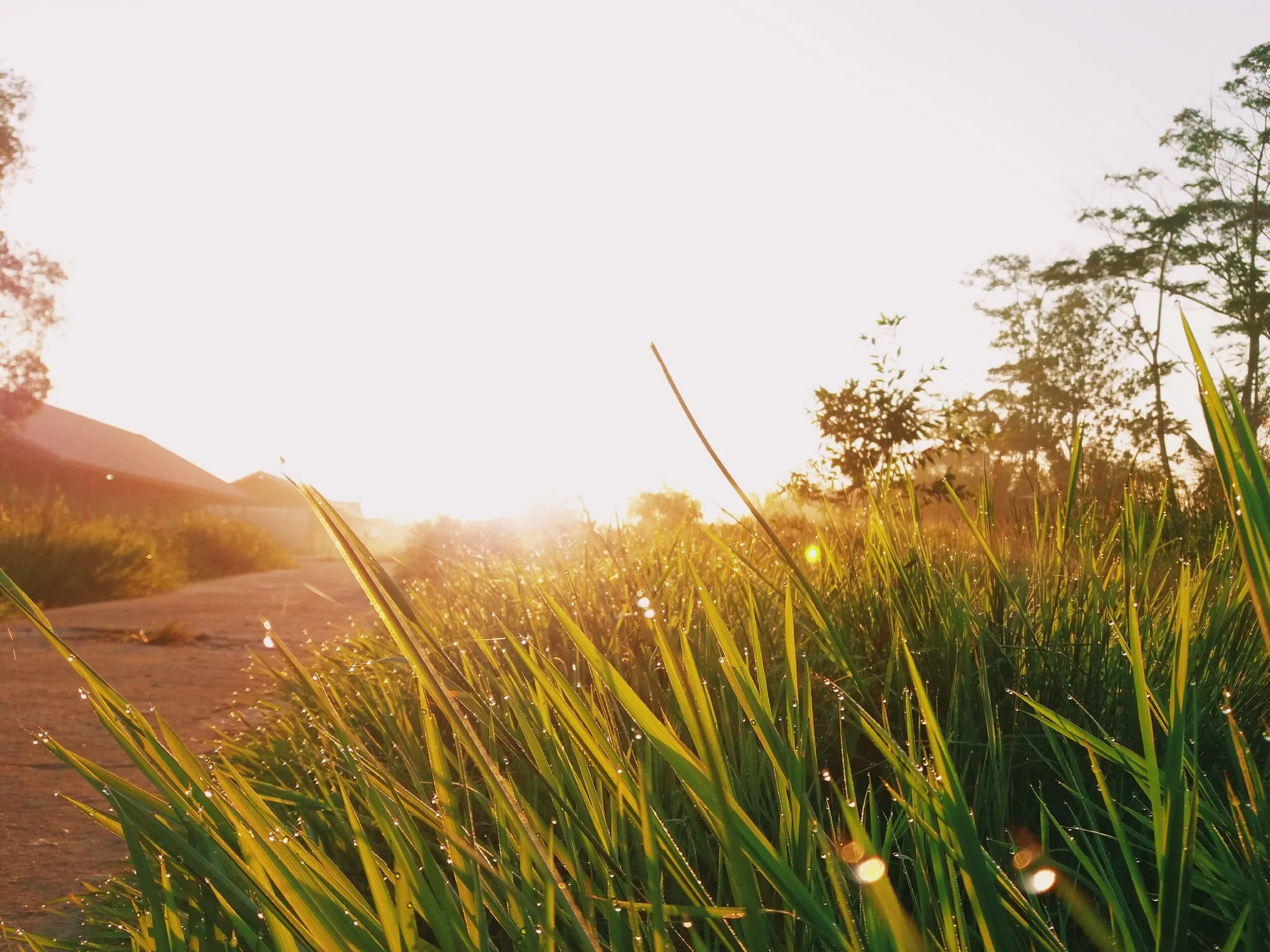 Creating a New Conception of the "Church"