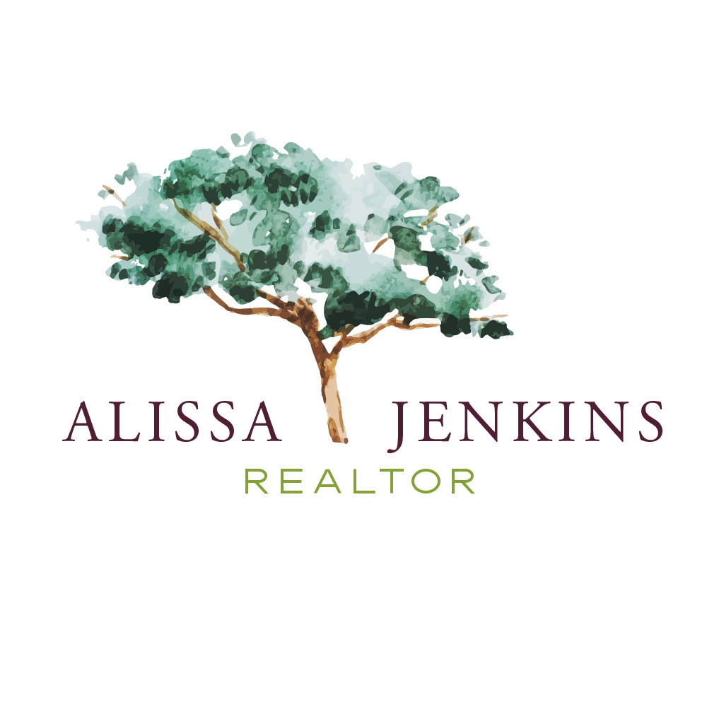 Alissa Jenkins Realtor
