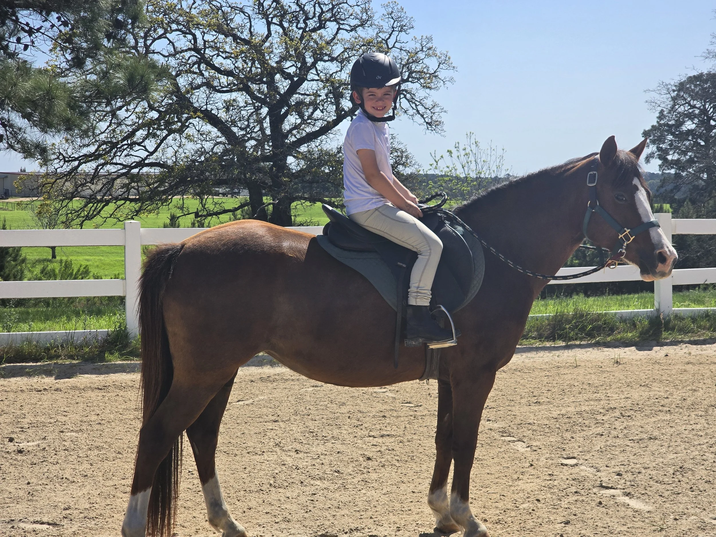 Horseback Riding Lessons — River Run Riding