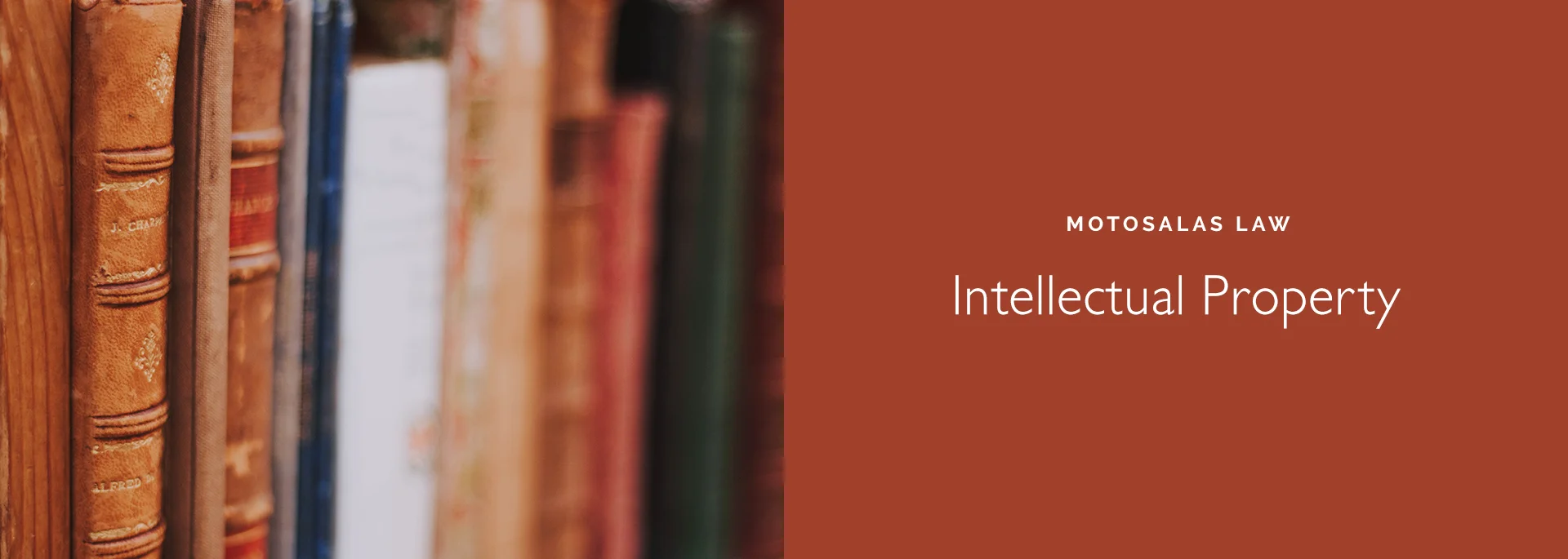intellectual property acquisition, prosecution, protection litigation