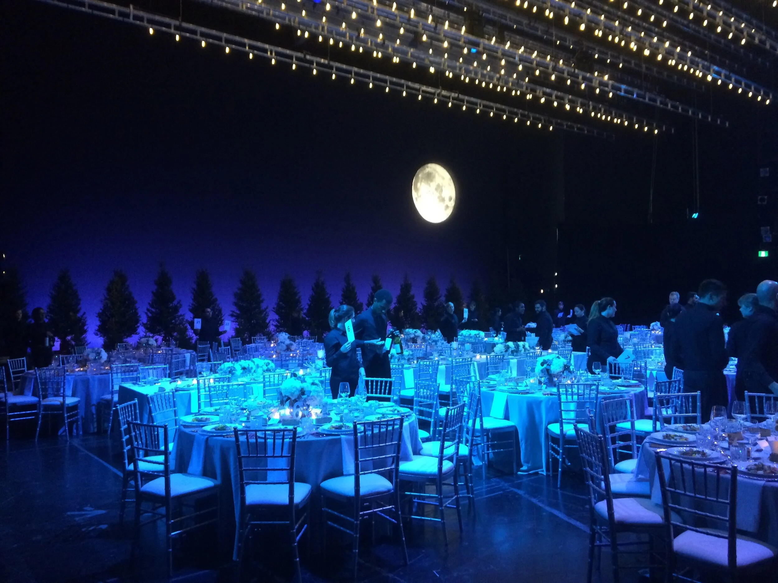   Centre Stage Gala 2017   Canadian Opera Company  Lighting Designer: Davida Tkach 