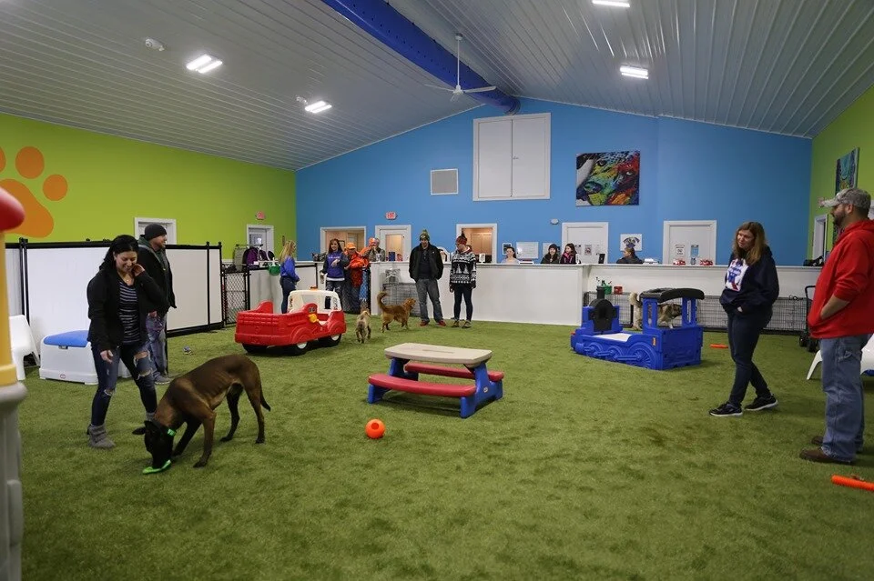 Our Facility — Your Dog's Gym