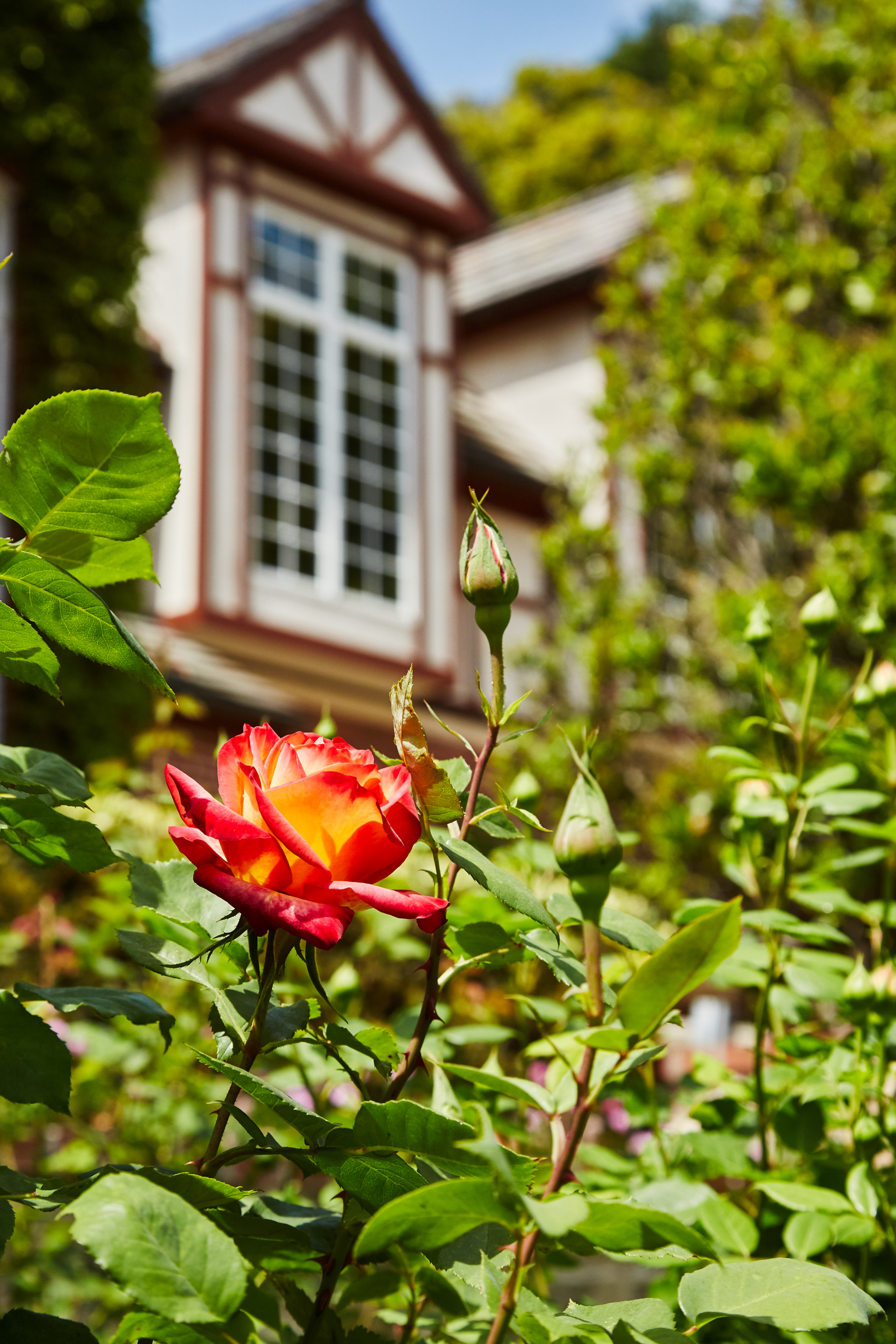 4033 Chevy Chase Exteriors_007.jpg