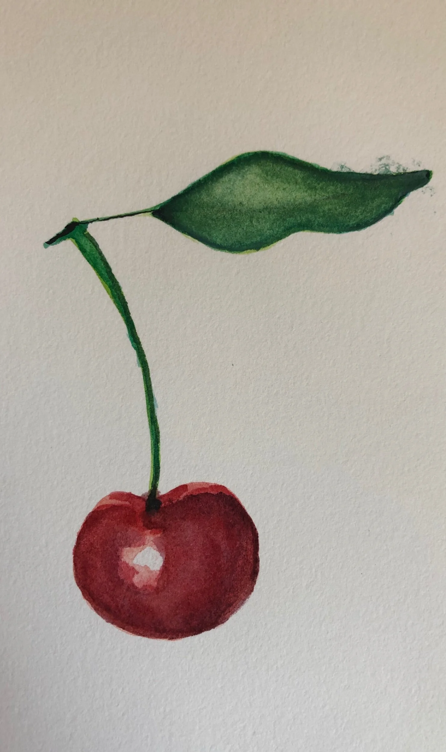 Cherry