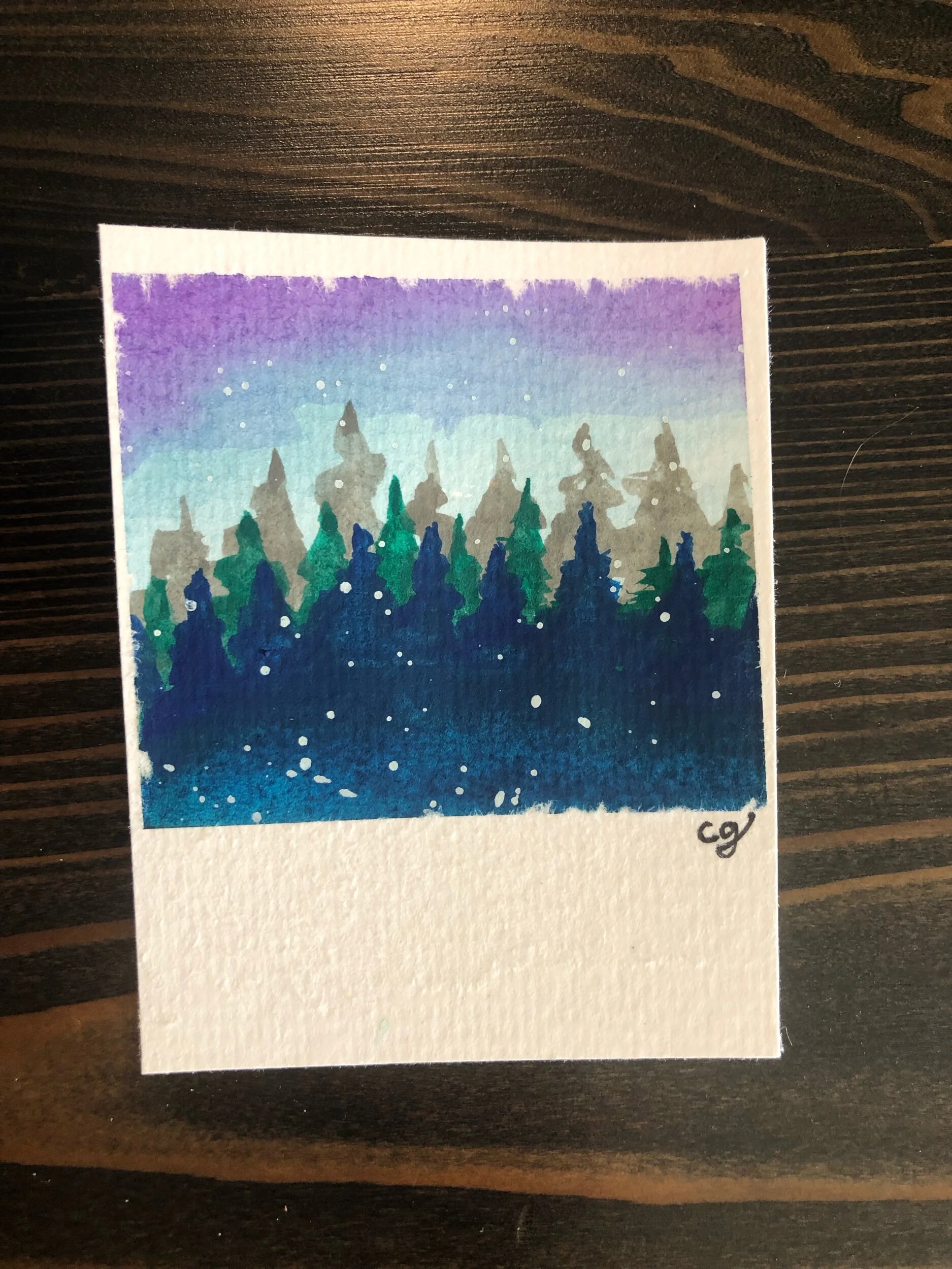 Pacific Northwest Polaroid