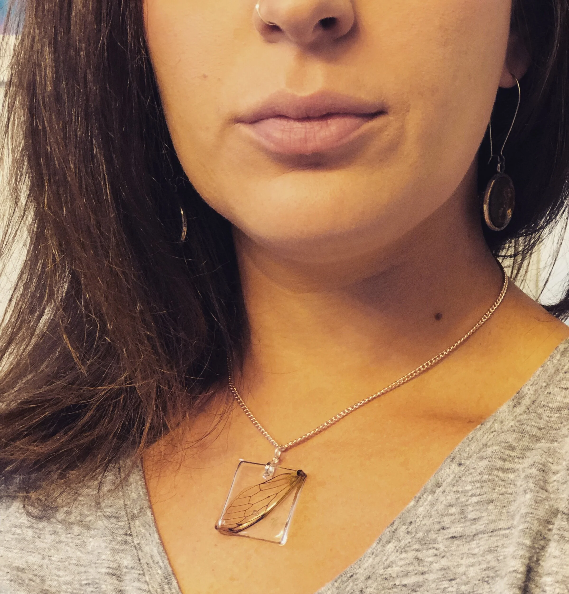 Cicada wing Necklace