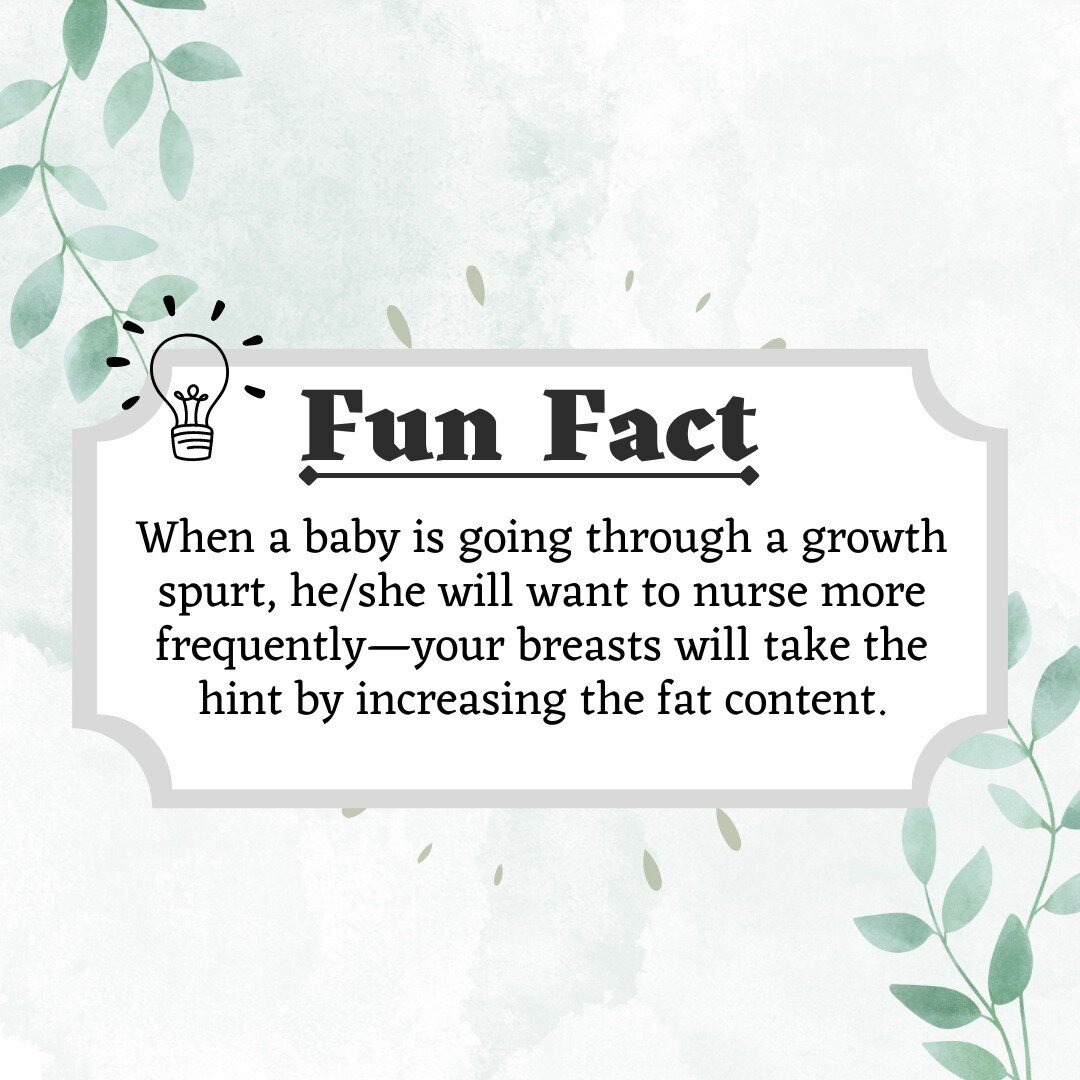 We all know that breastmilk gives our babies the nutrients to grow, but another thing mamas' bodies automatically know to do is increase fat content when newborns are hitting those important milestones! 📈🍼

#breastfeeding #newmothers #babymilestone