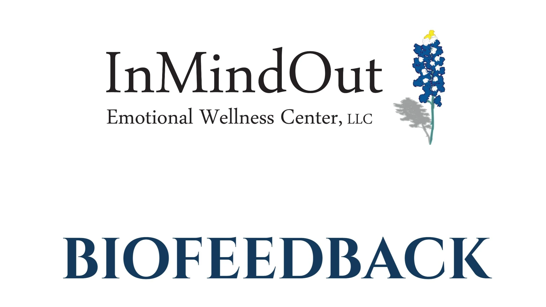 InMindOut Biofeedback Training Program