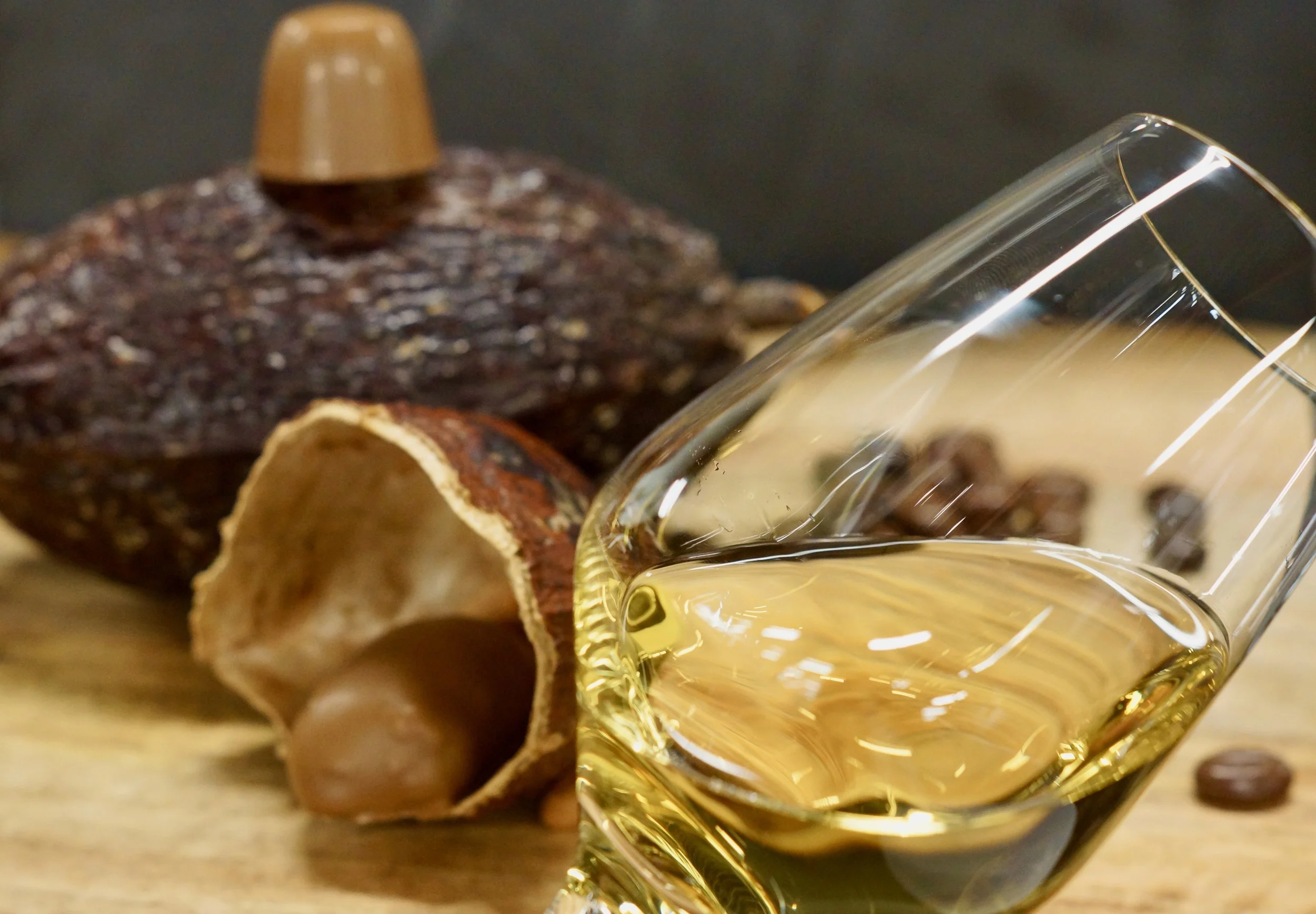 Wijn-chocoladeworkshop Wine in Choc cacaoboon