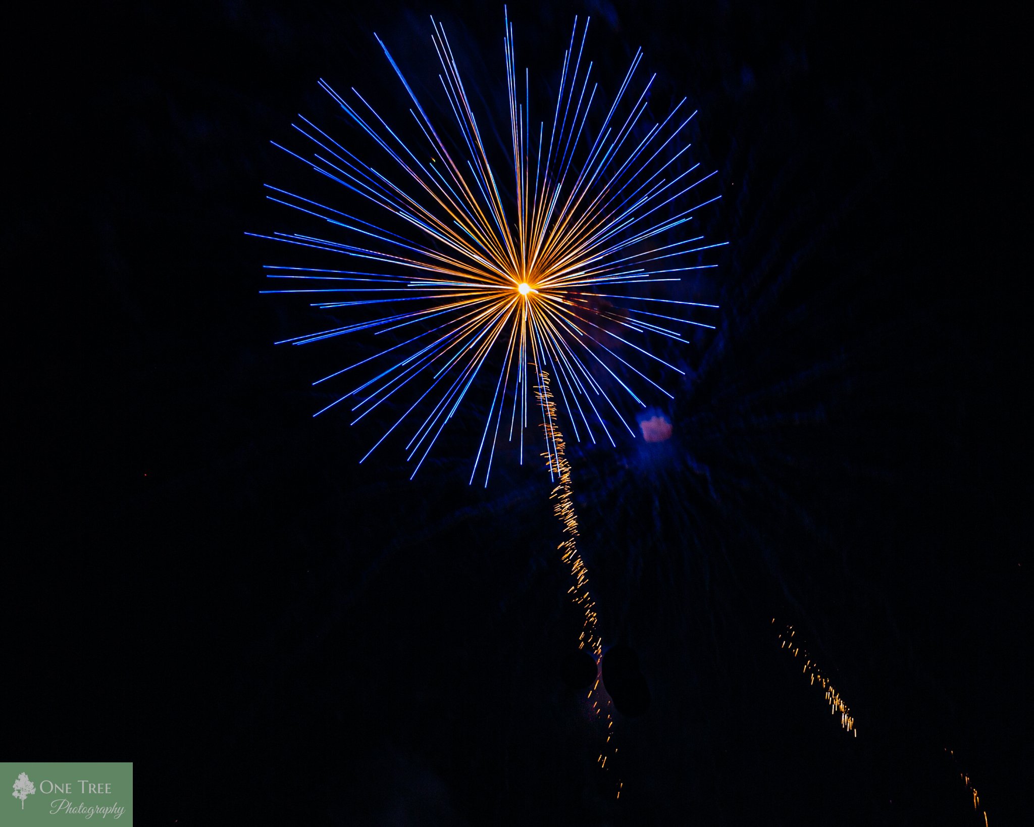 Fireworks — One Tree Photography