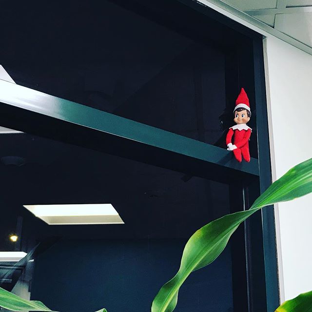 For those who have been in the office lately...show of hands if you spotted our #elfontheshelf ✋