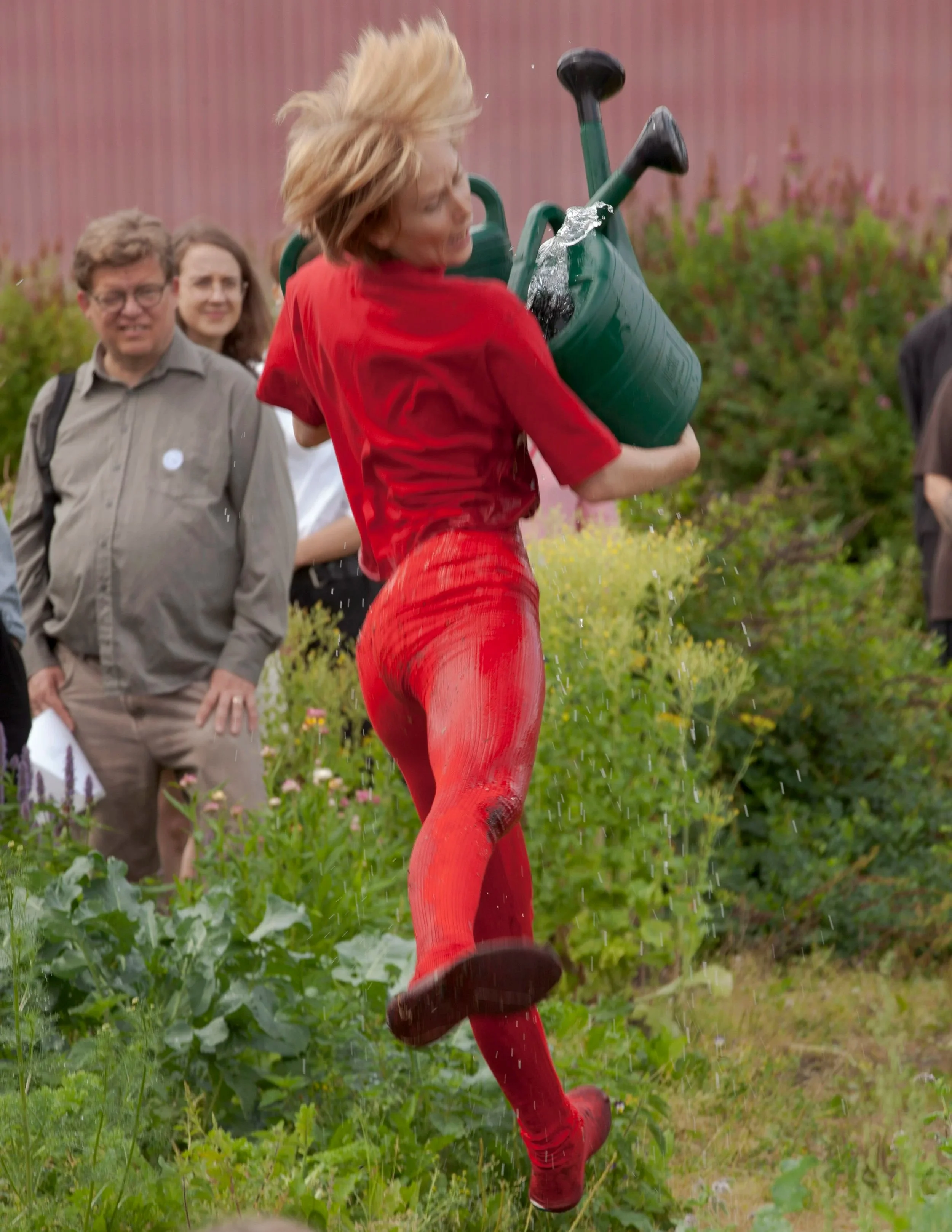 Pääsky Miettinen