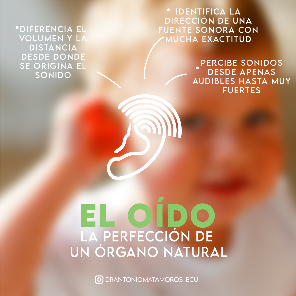 ¿POR QUÉ PERDEMOS LA CAPACIDAD DE OÍR?