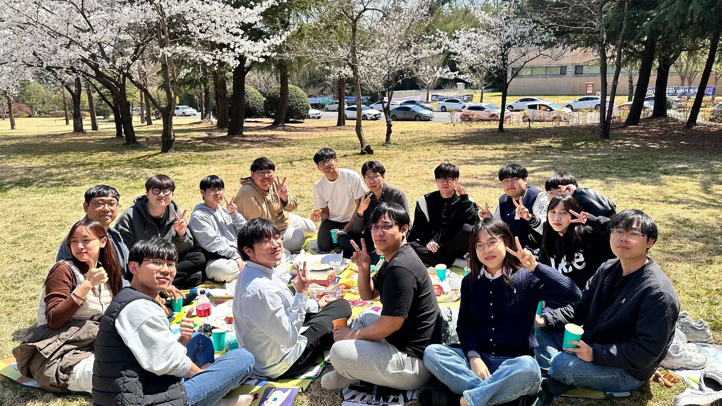 2025 봄 맞이 벚꽃 폭짜