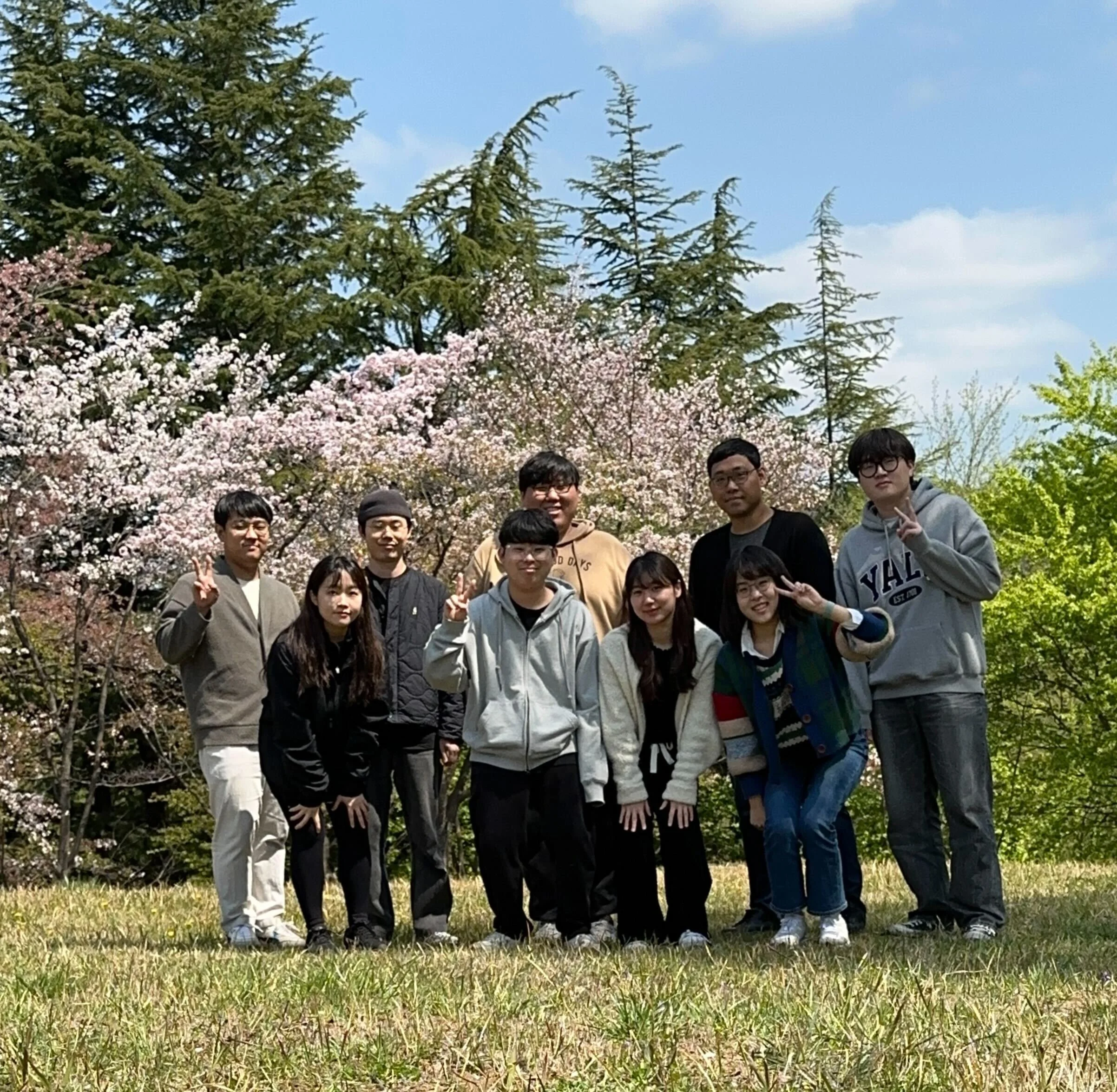 2023 봄 맞이 벚꽃 폭짜