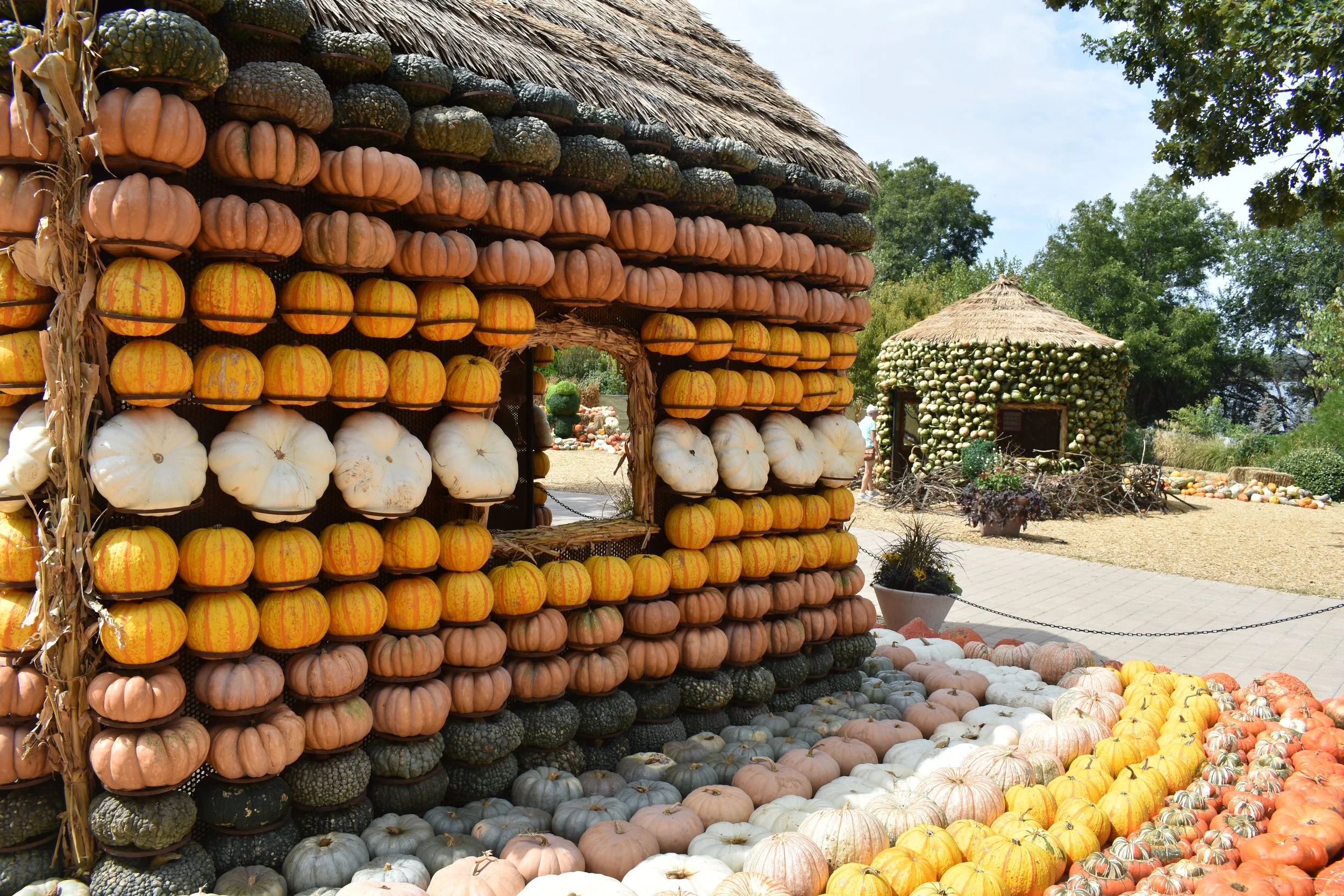 Pumpkins After Hours: A Sensory Evening at the Dallas Arboretum