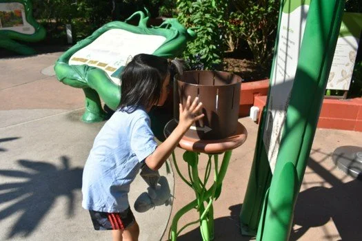 Spring Sensory Morning at the Arboretum