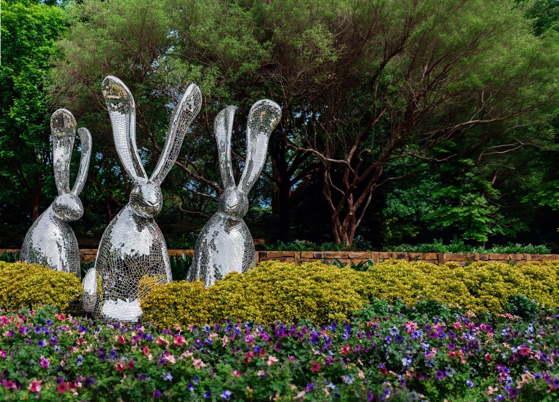 A Sensory-Friendly Twilight Night at the Dallas Arboretum