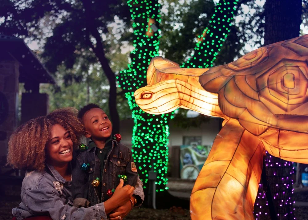  Sensory Friendly Night at the Dallas Zoo
