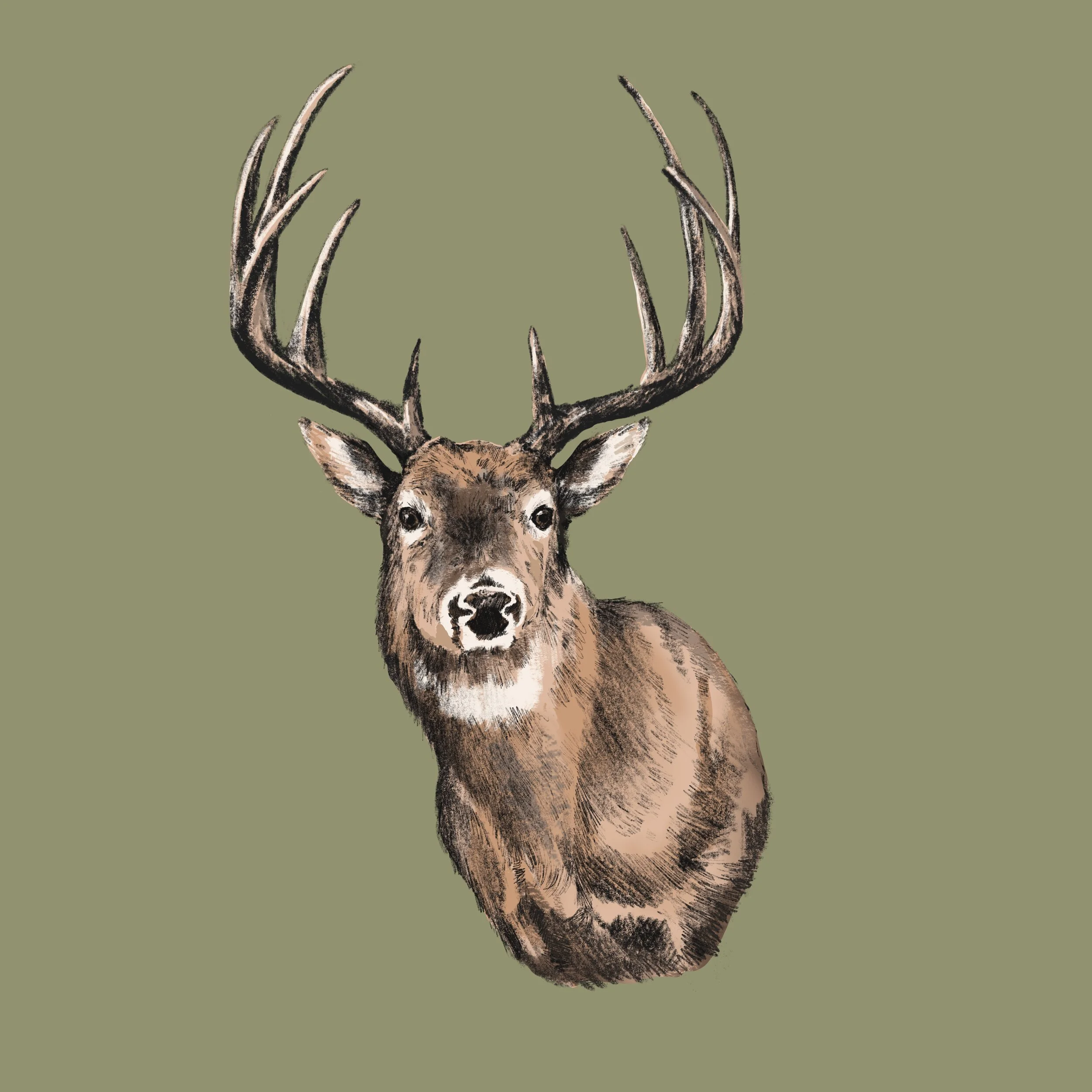 Duck_camp_Whitetail_.jpg