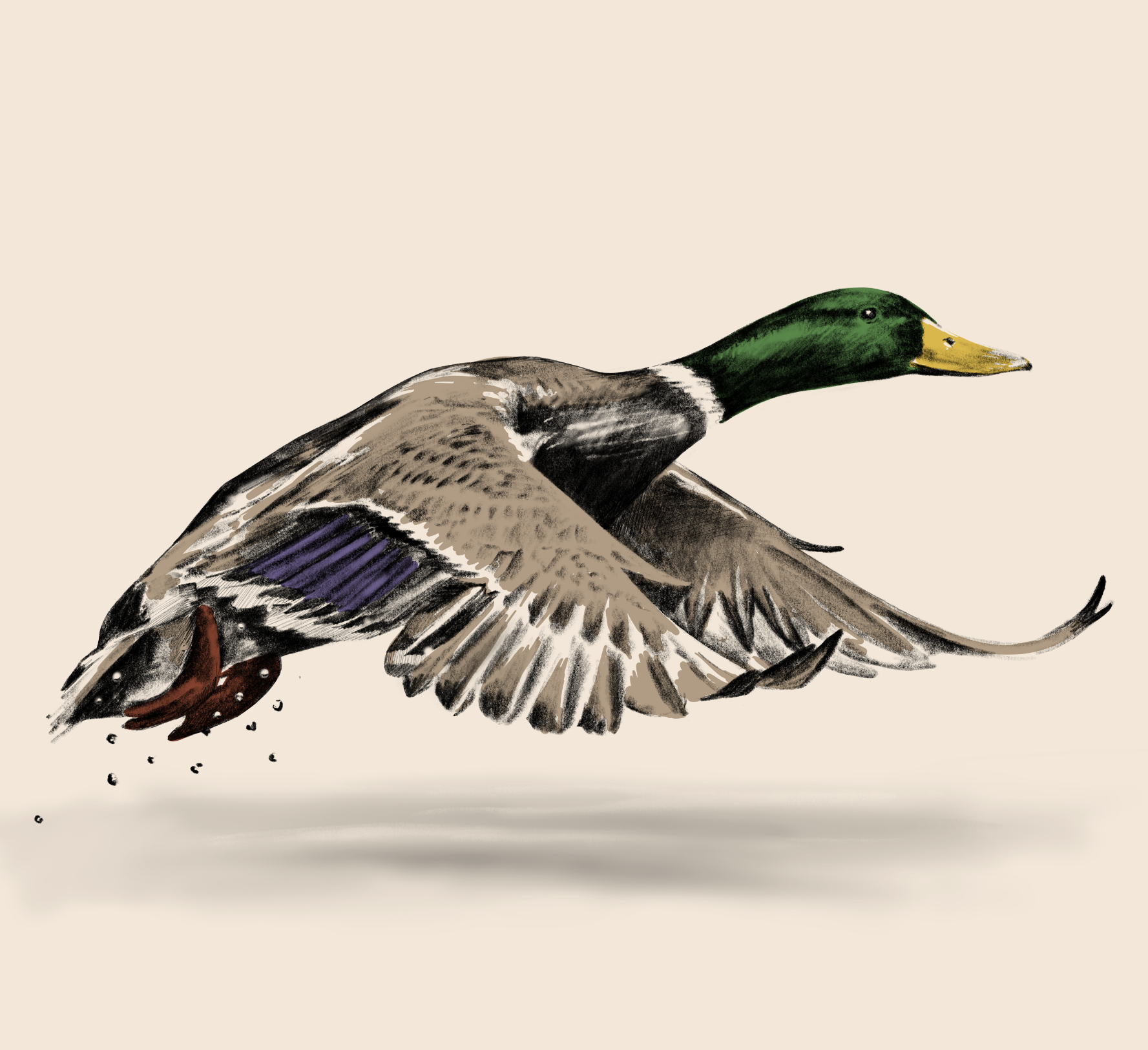 Screen Shot 2020-09-30 at 2.29.14 PM.png