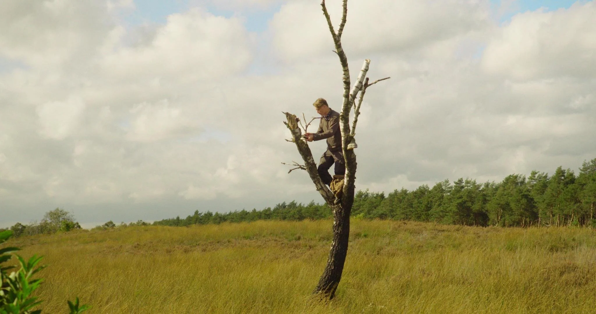 door_de_bomen_still.0019363.jpg