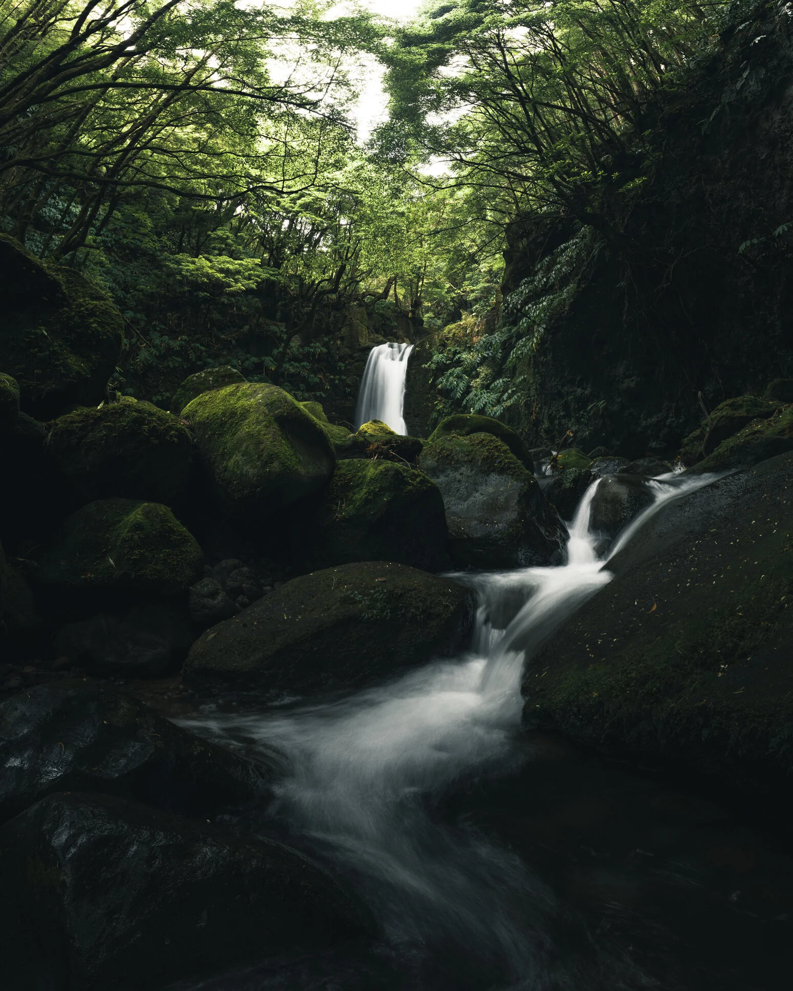 Azores Waterfall Print #2