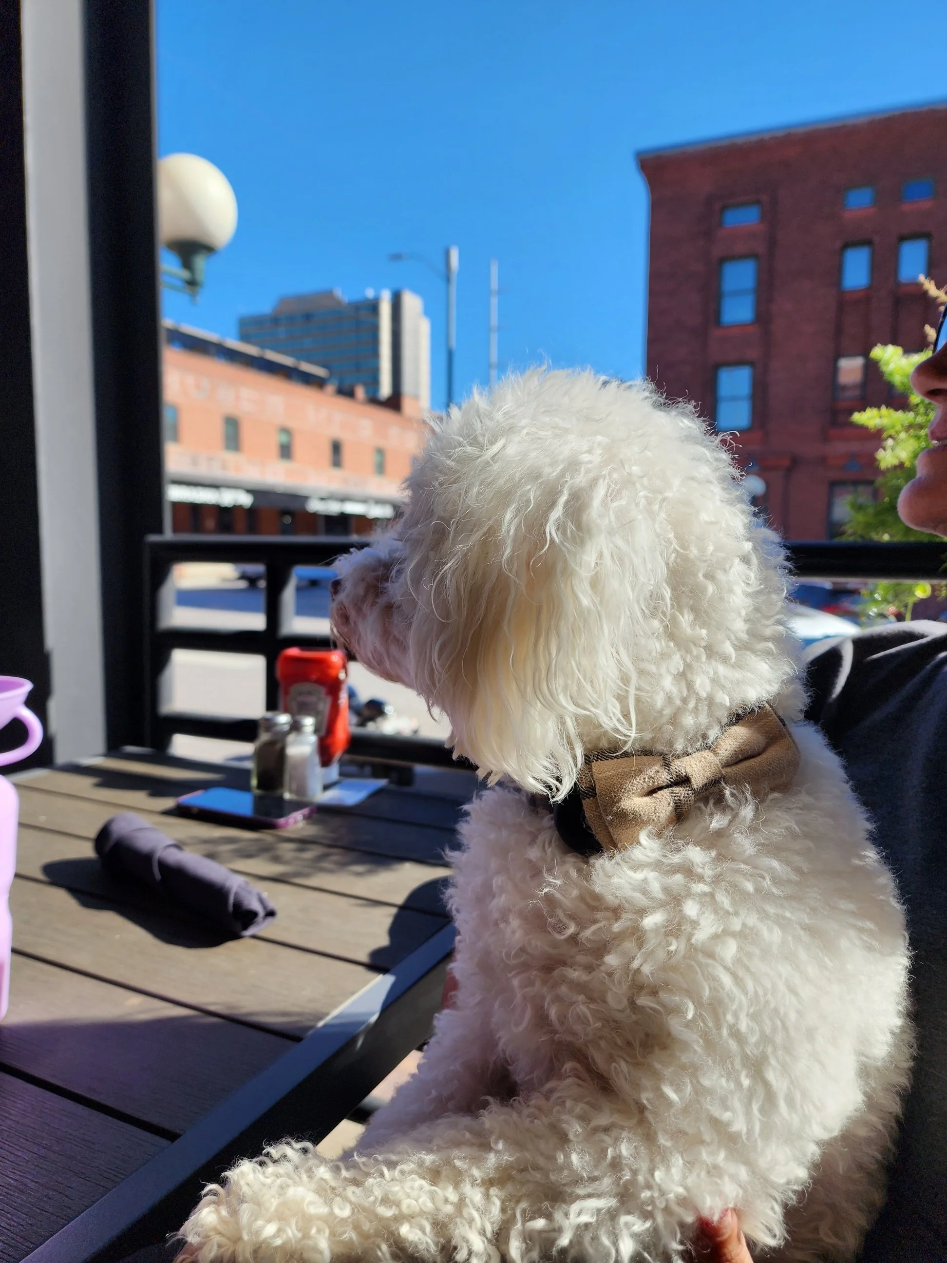 Dog Friendly Restaurants in Lincoln, Nebraska