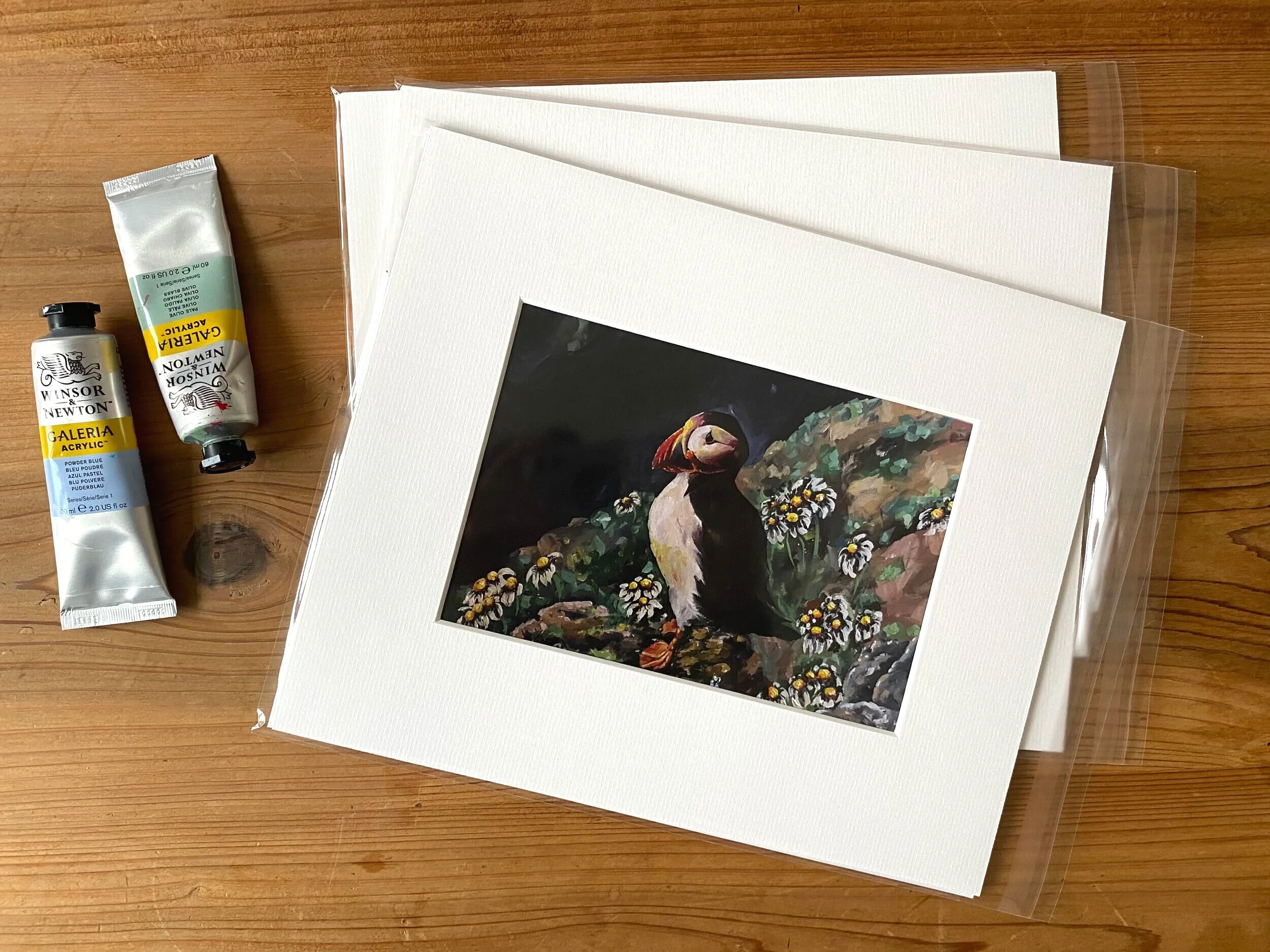 RATHLIN+ISLAND+PUFFIN+A5+PRINT.jpg