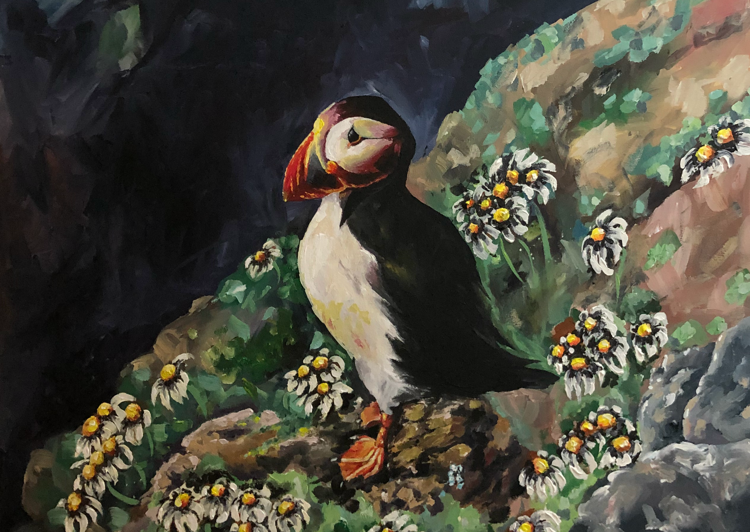 Rathlin Island Puffin A5.PNG