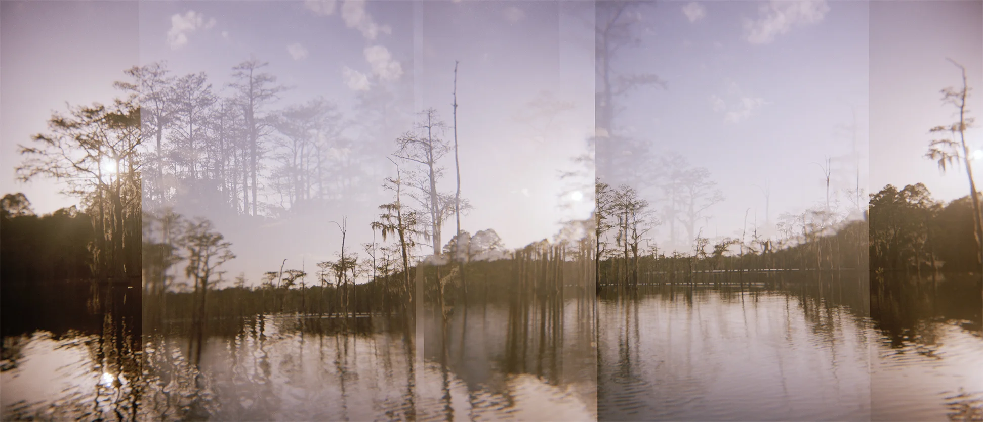 Mirrored Worlds