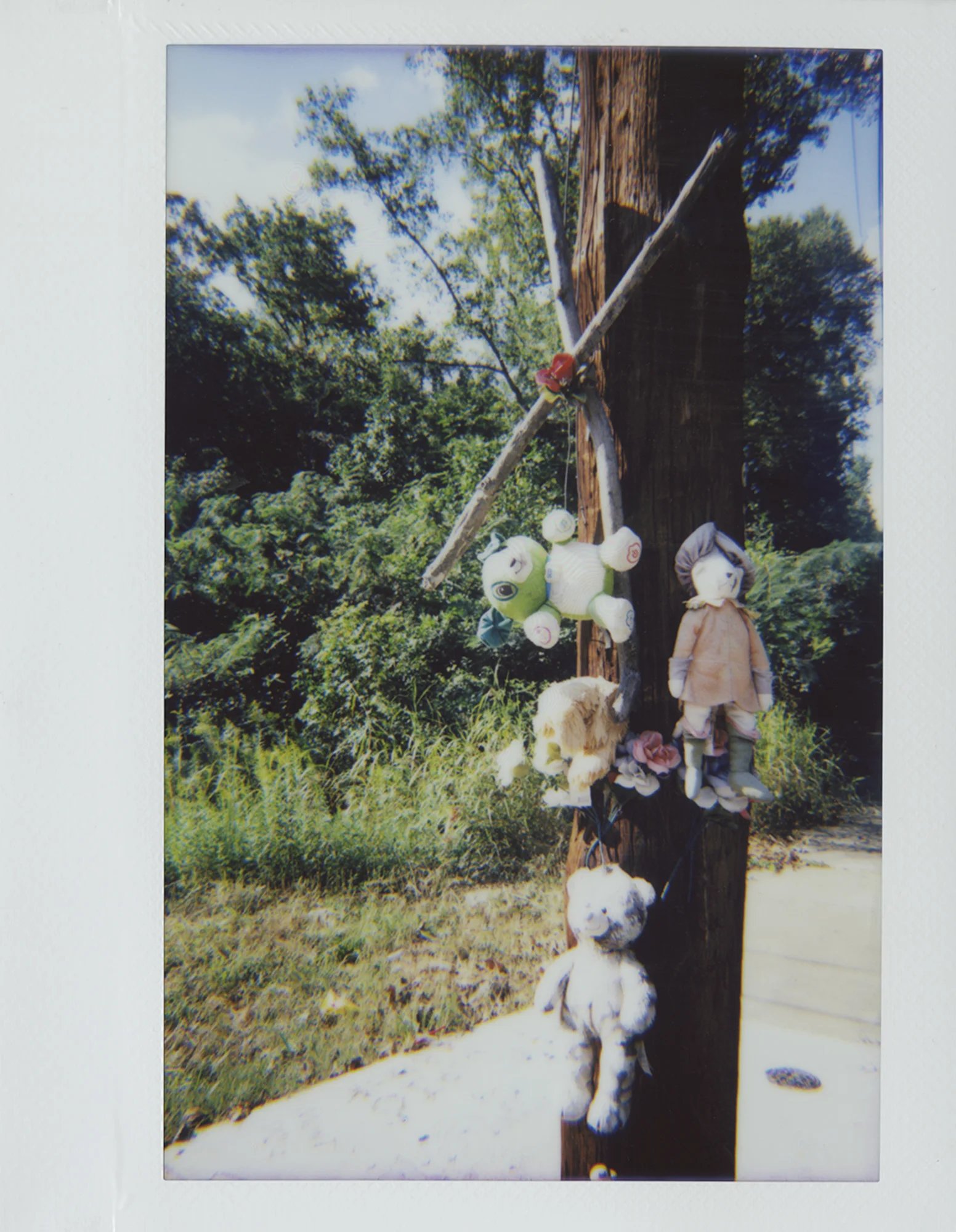 image-4.jpg