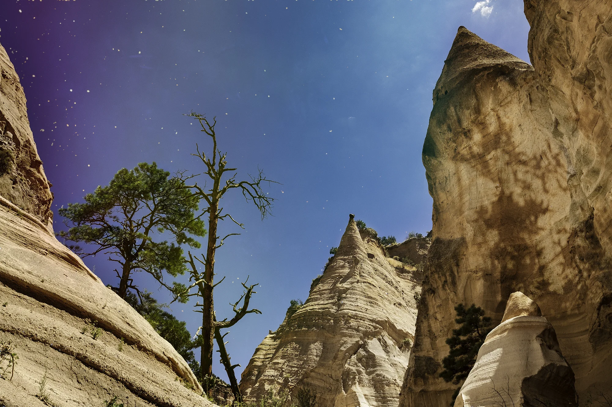 canyon.jpg
