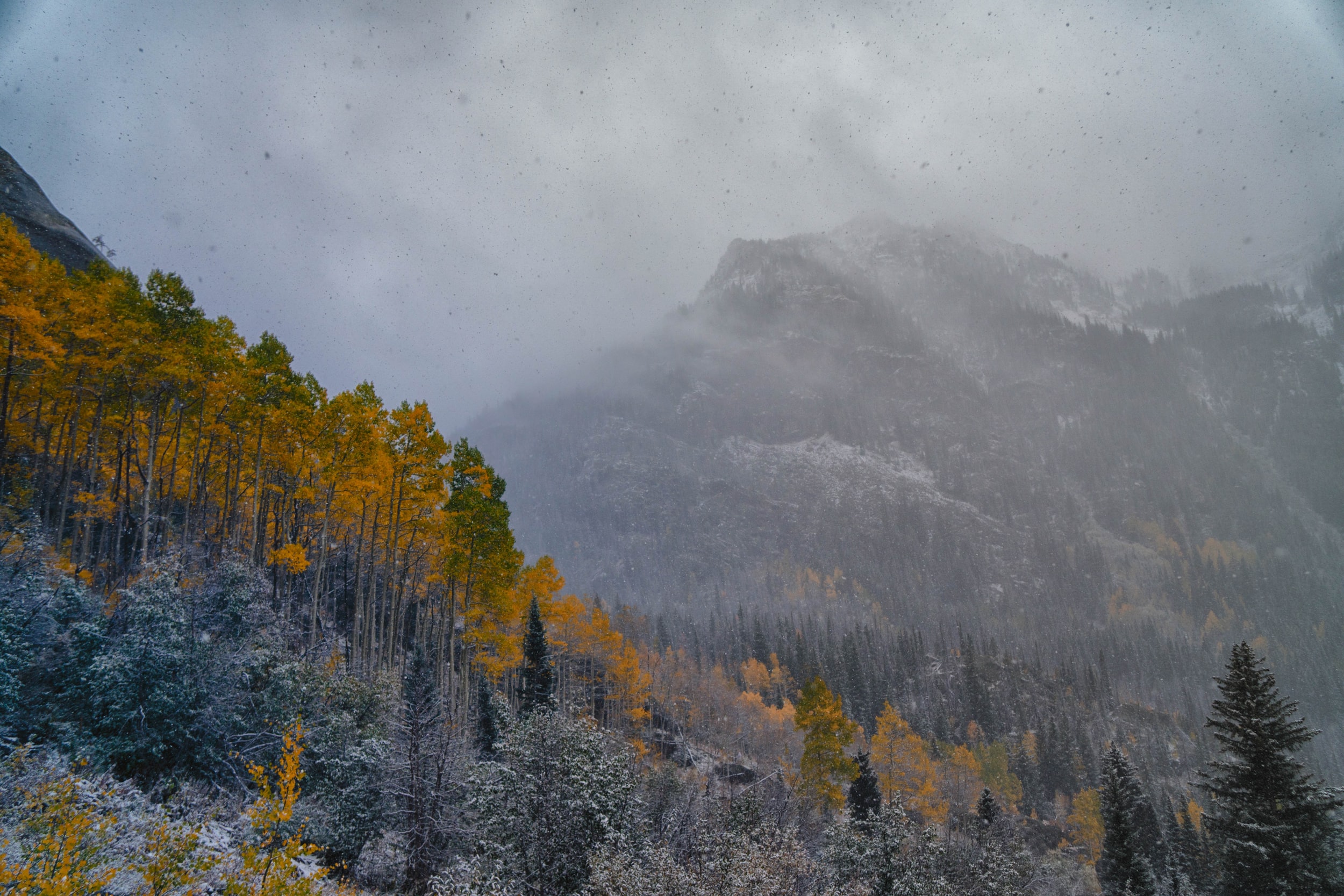 What will we see when the smoke clears in Aspen-area real estate market?