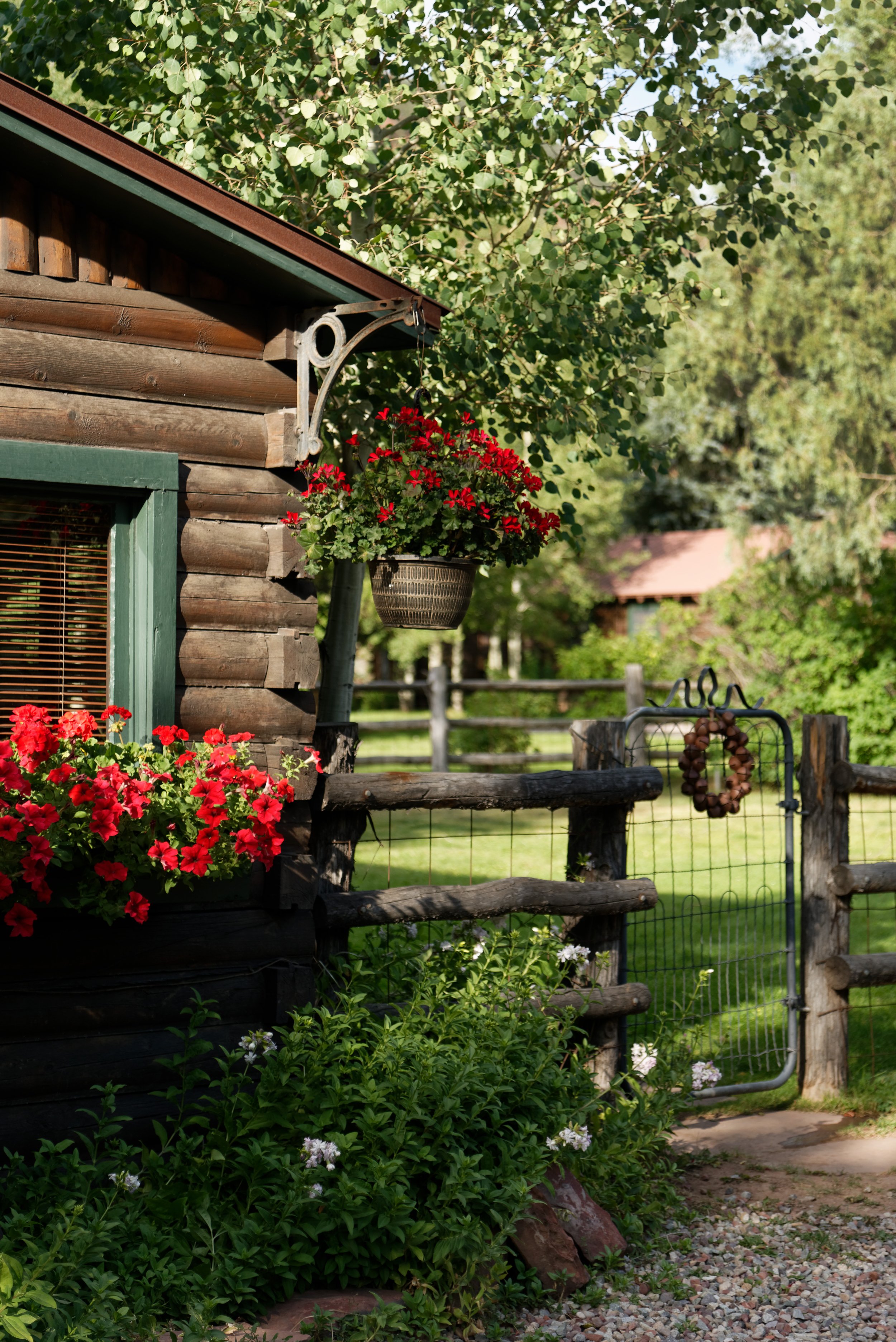 SmassCabins_8_2019_HiRes024.jpg